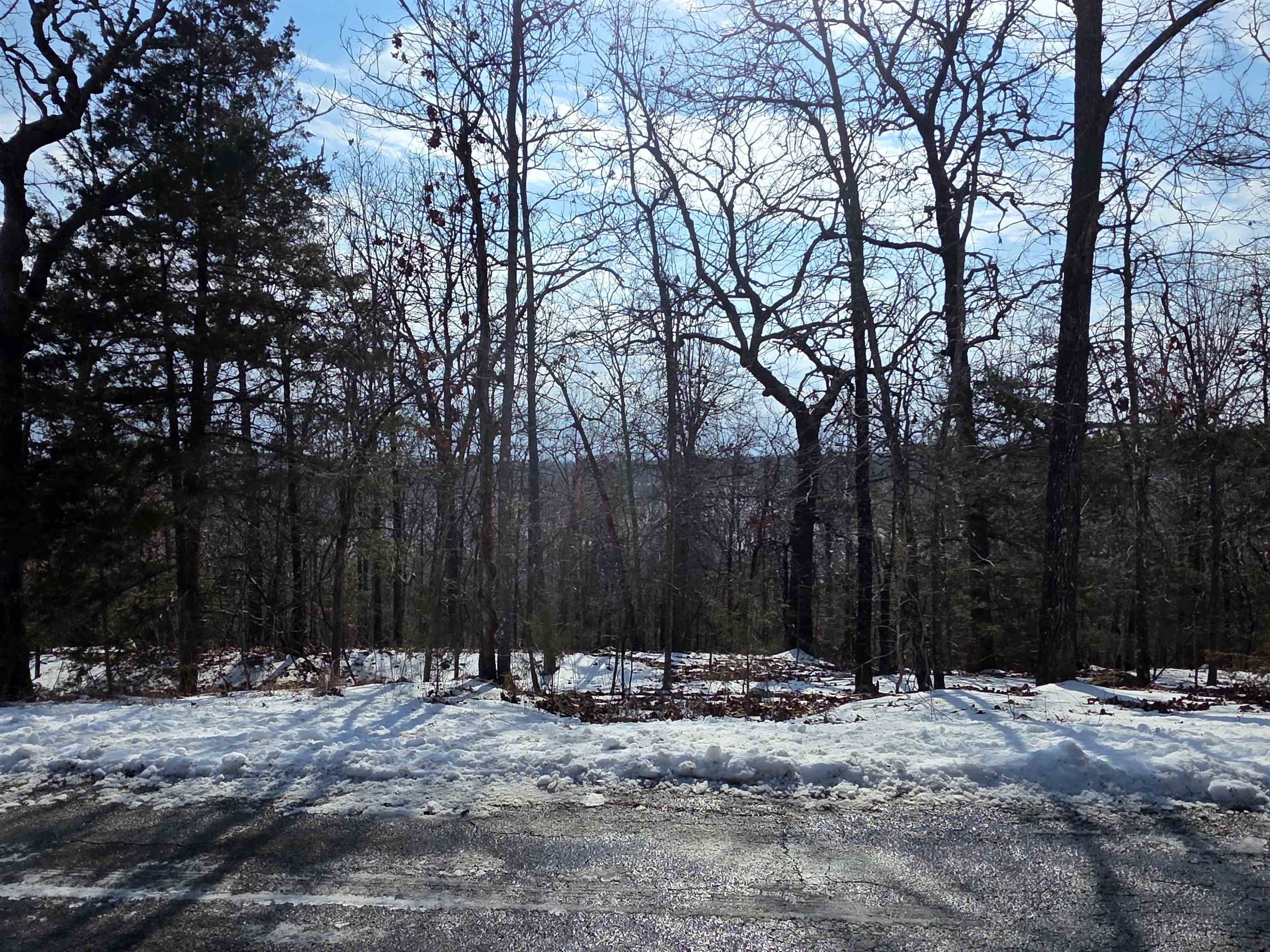 Photo 6 - Vacant Land for sale – L-39, B-4  Topez   Cherokee Village, AR