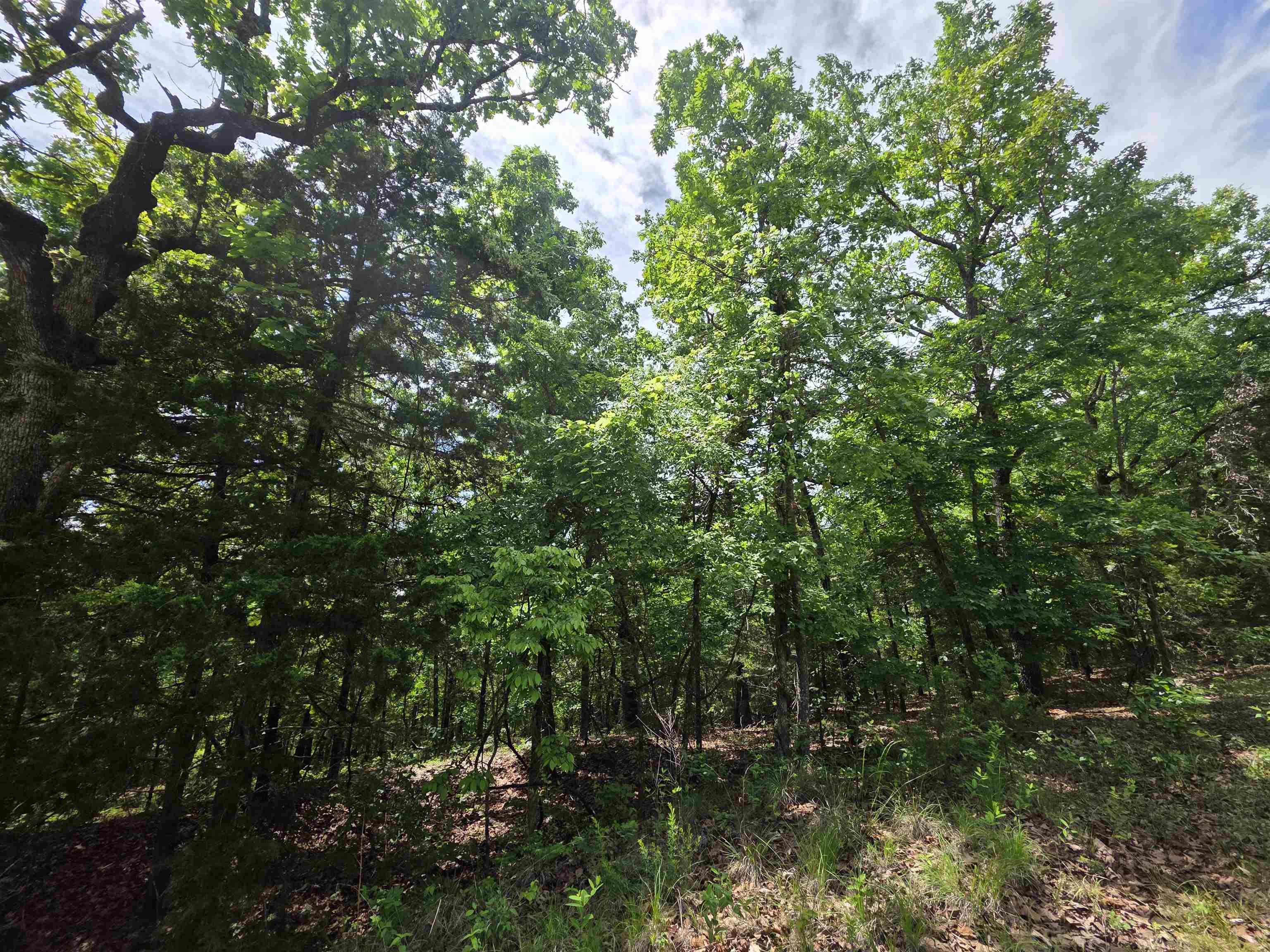 Photo 7 - Vacant Land for sale – L-39, B-4  Topez   Cherokee Village, AR