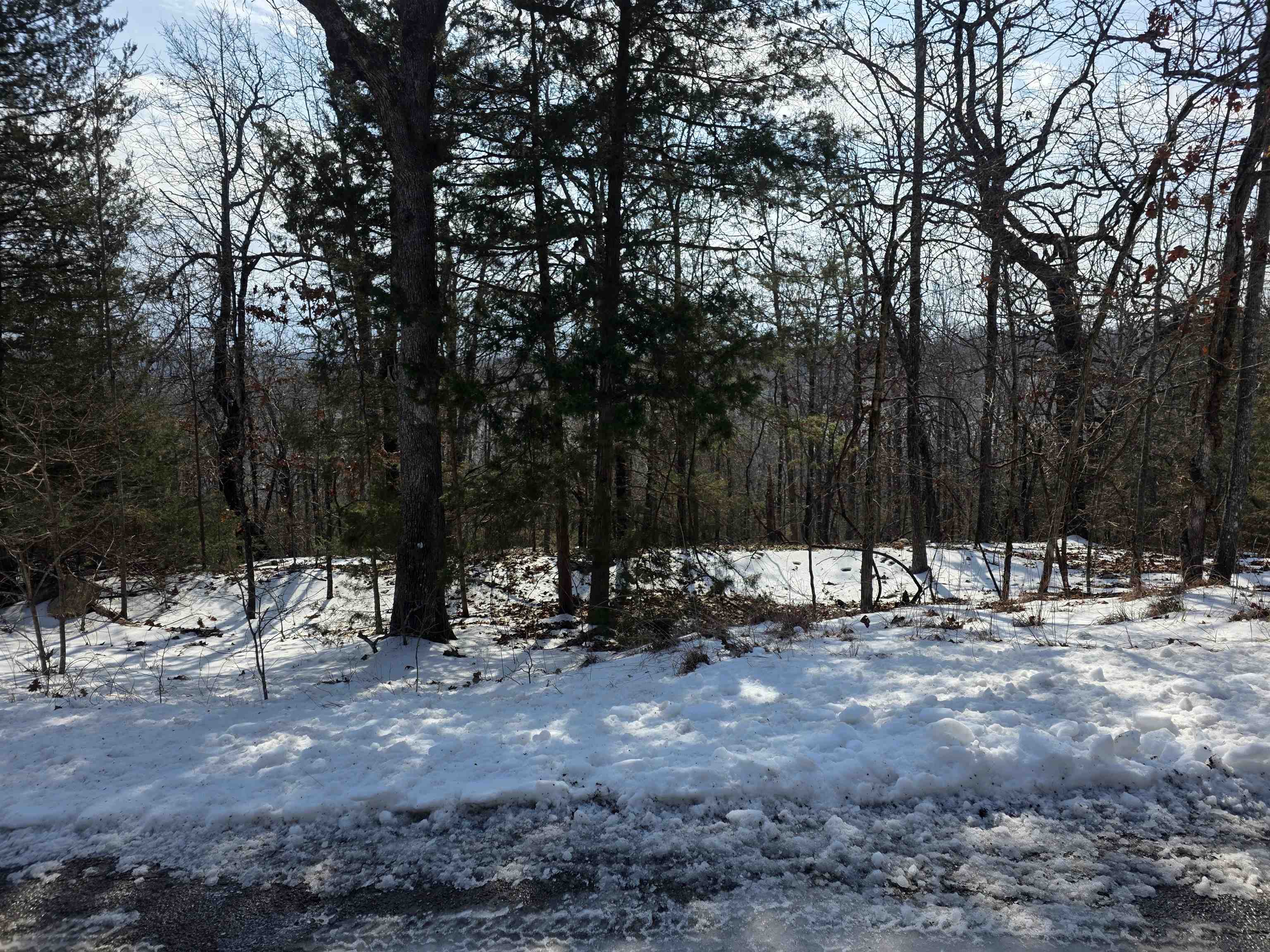 Photo 7 - Vacant Land for sale – L-39, B-4  Topez   Cherokee Village, AR