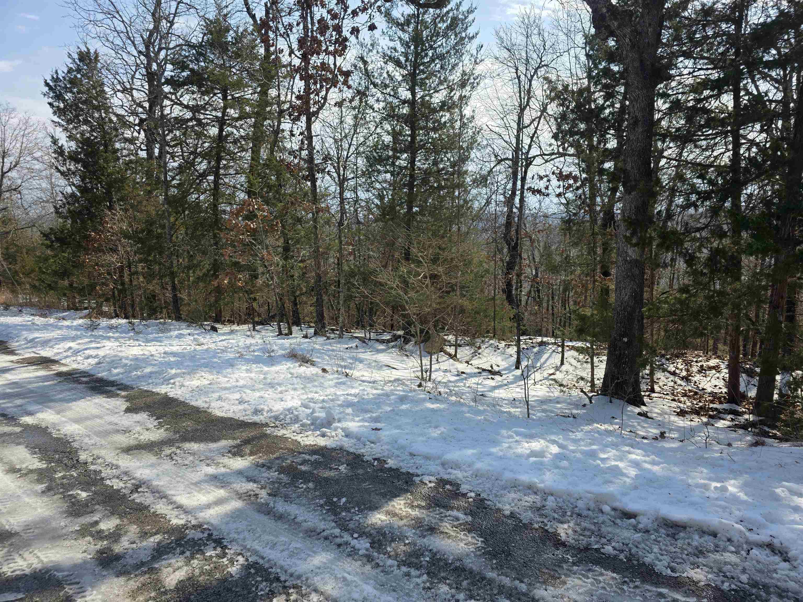 Photo 8 - Vacant Land for sale – L-39, B-4  Topez   Cherokee Village, AR