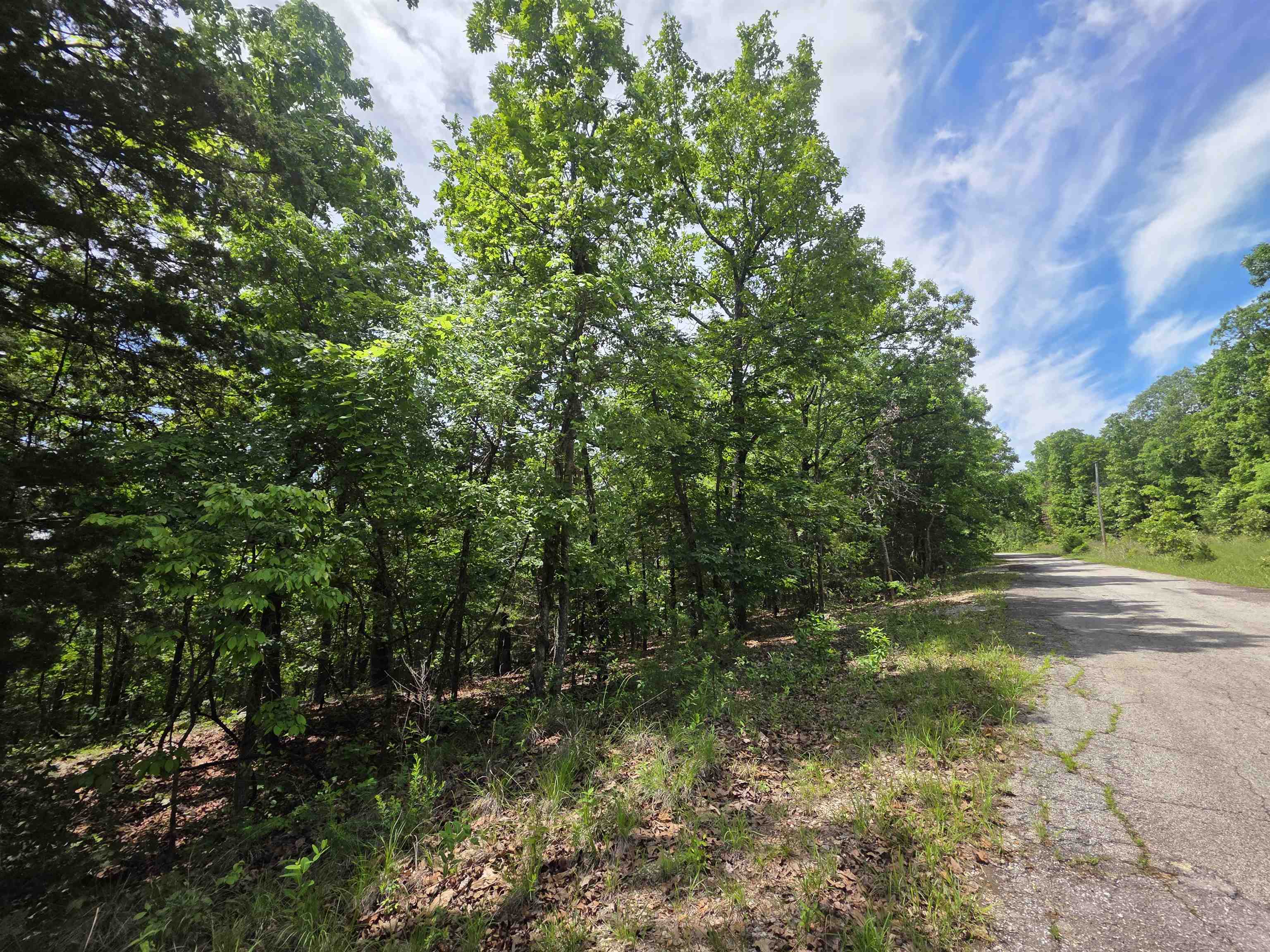Photo 8 - Vacant Land for sale – L-39, B-4  Topez   Cherokee Village, AR