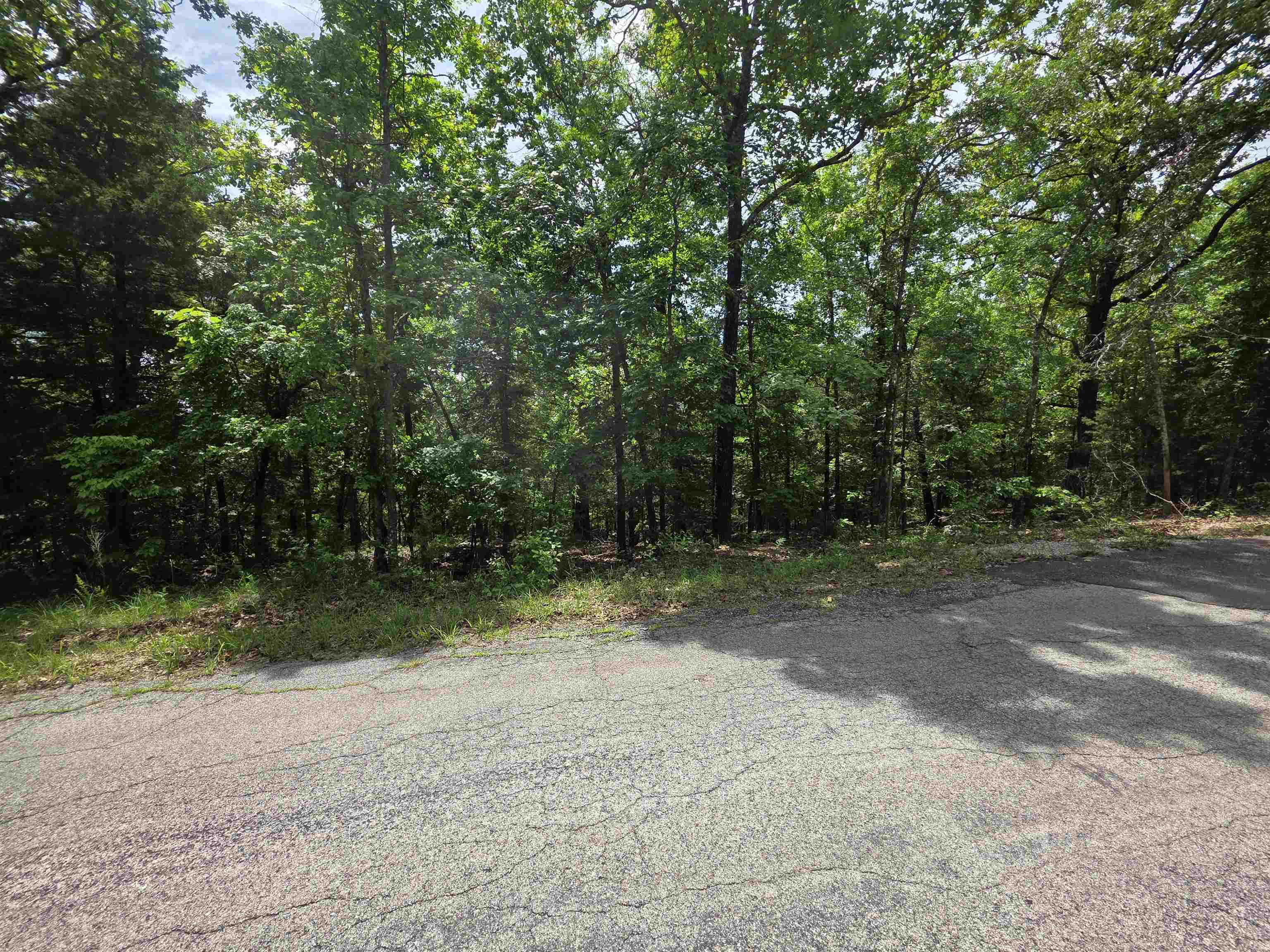 Photo 9 - Vacant Land for sale – L-39, B-4  Topez   Cherokee Village, AR