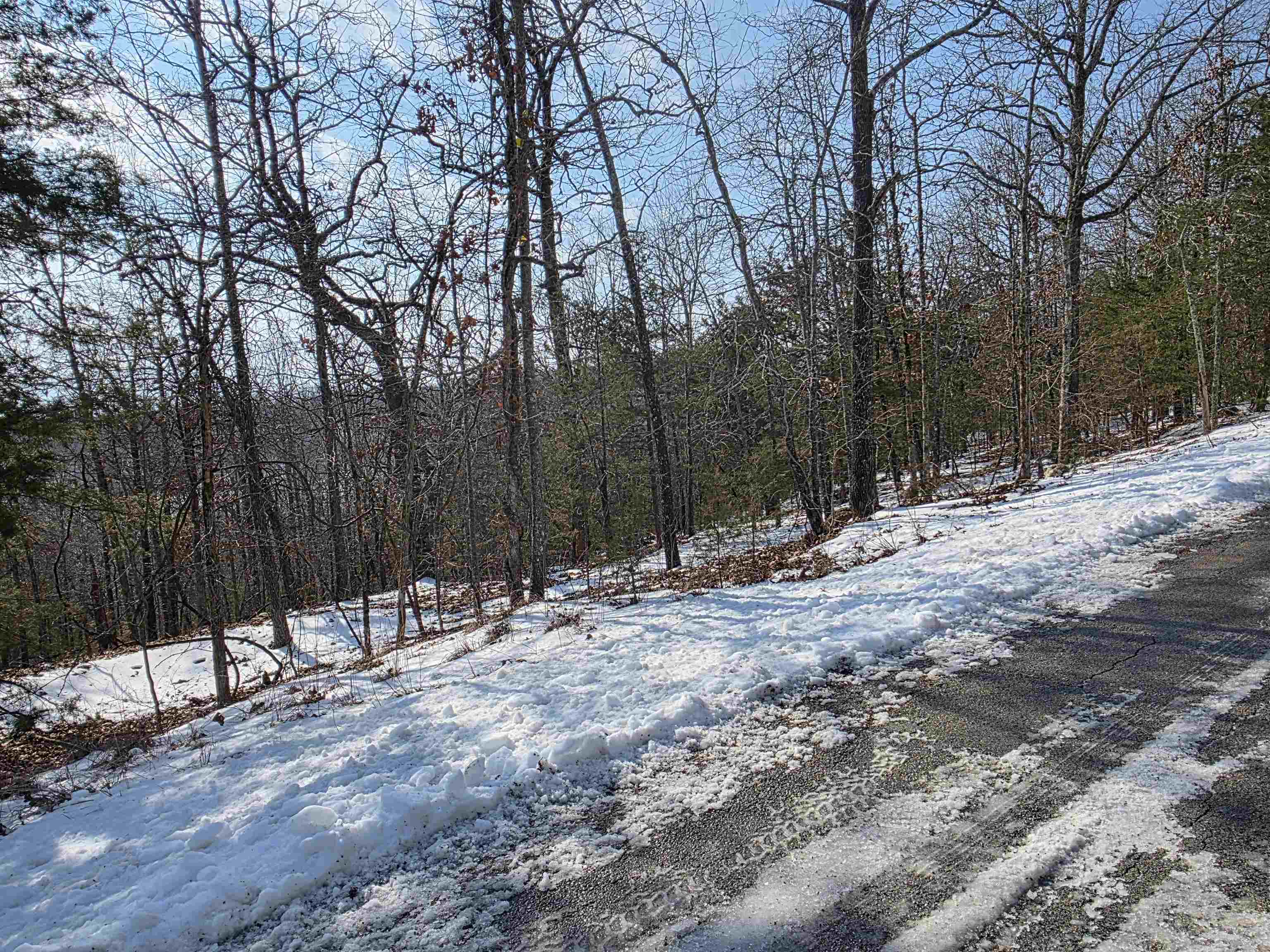 Photo 9 - Vacant Land for sale – L-39, B-4  Topez   Cherokee Village, AR