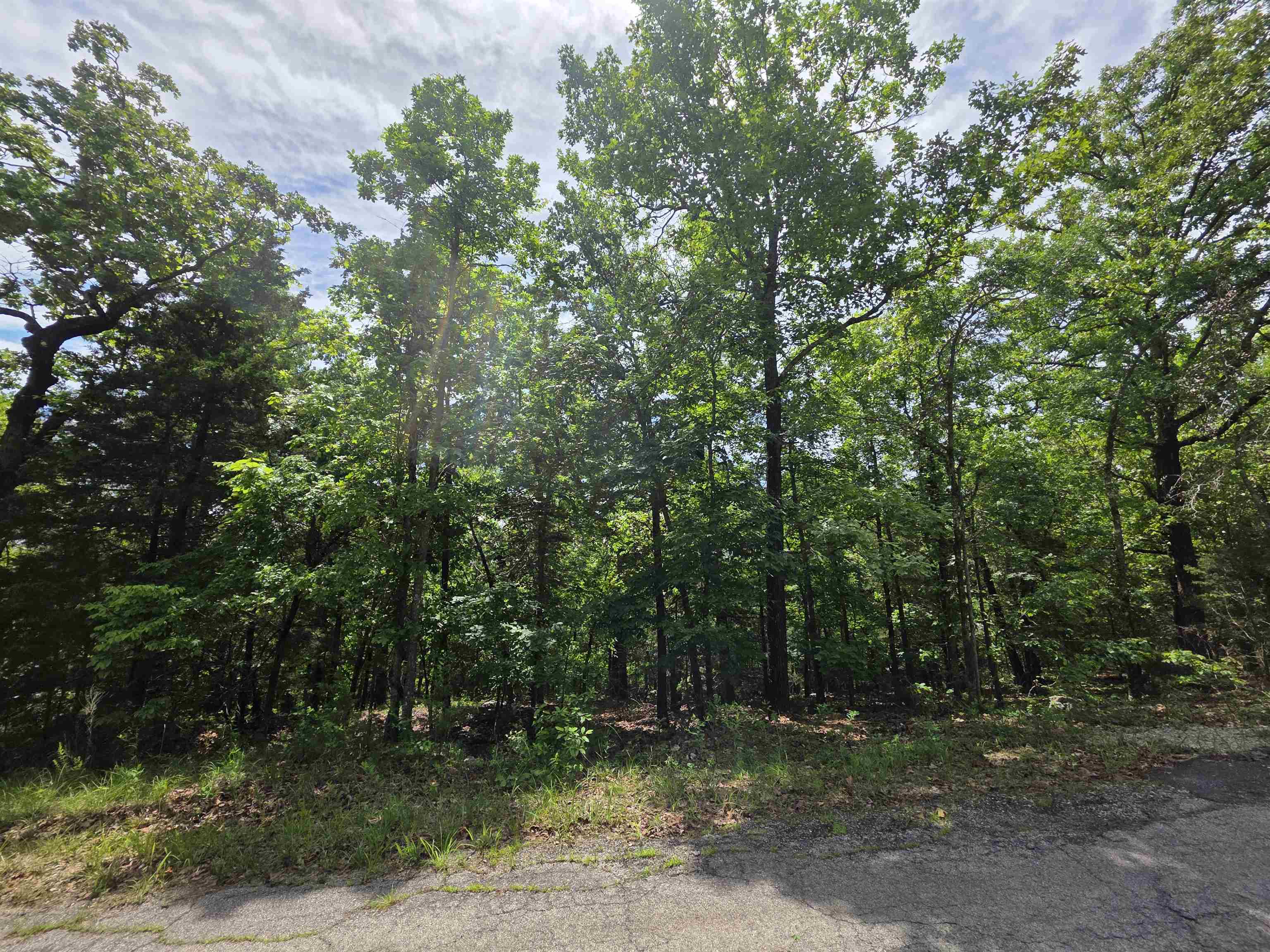 Photo 10 - Vacant Land for sale – L-39, B-4  Topez   Cherokee Village, AR