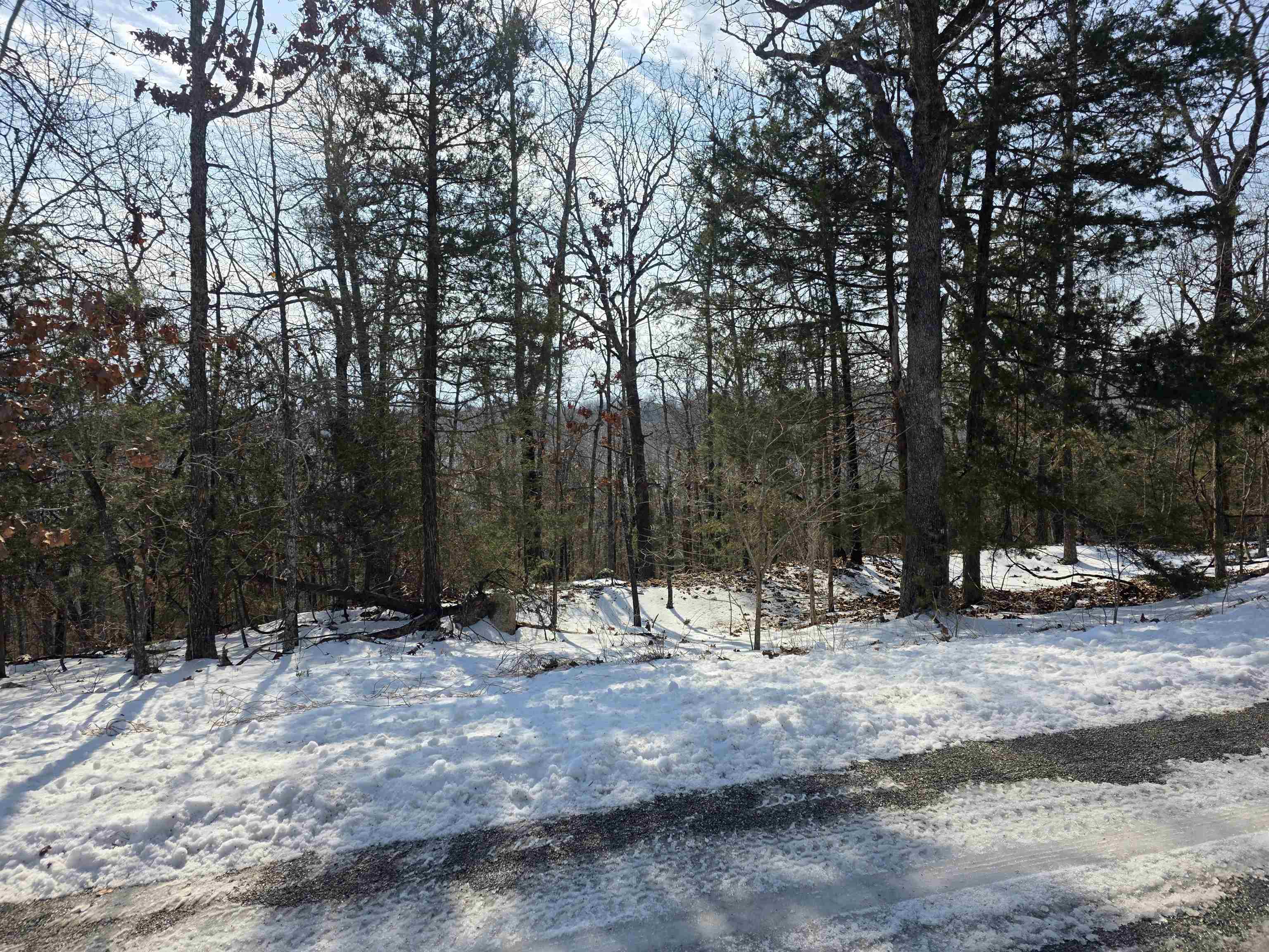 Photo 10 - Vacant Land for sale – L-39, B-4  Topez   Cherokee Village, AR