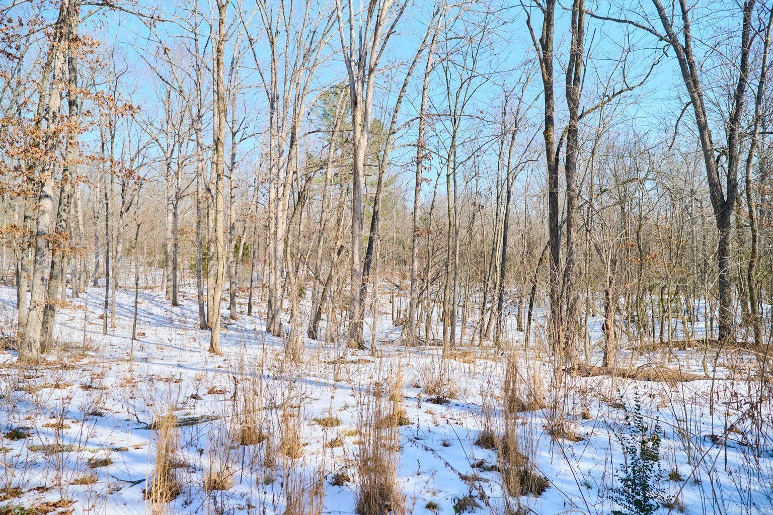 Photo 34 - Residential for sale – 1729  US-63   Williford, AR