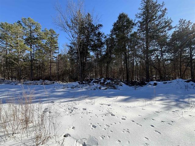 Photo 50 - Residential for sale – 1682 B  Hwy 167   Evening Shade, AR