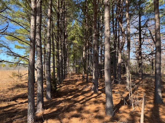 Photo 18 - Residential for sale – 8570  Hwy 9 N   Mammoth Spring, AR