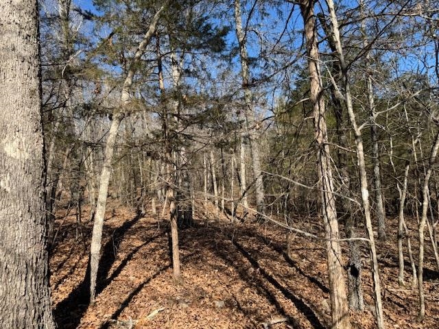 Photo 19 - Residential for sale – 8570  Hwy 9 N   Mammoth Spring, AR