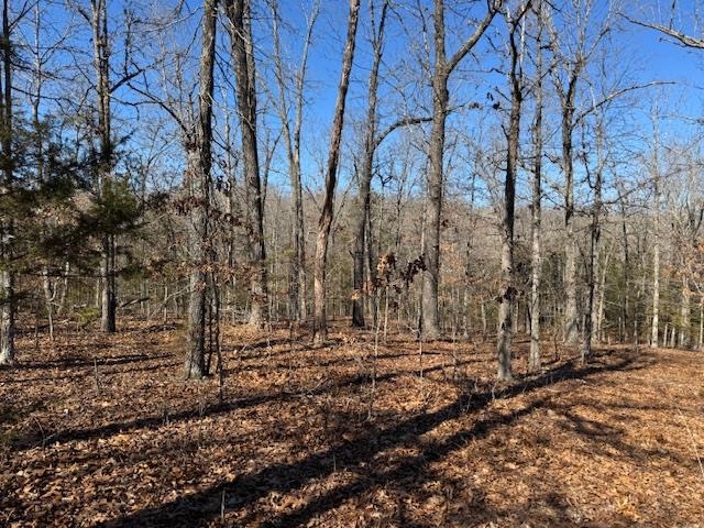 Photo 24 - Residential for sale – 8570  Hwy 9 N   Mammoth Spring, AR