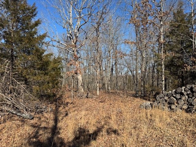 Photo 28 - Residential for sale – 8570  Hwy 9 N   Mammoth Spring, AR