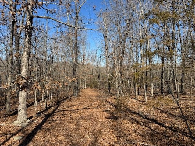 Photo 29 - Residential for sale – 8570  Hwy 9 N   Mammoth Spring, AR