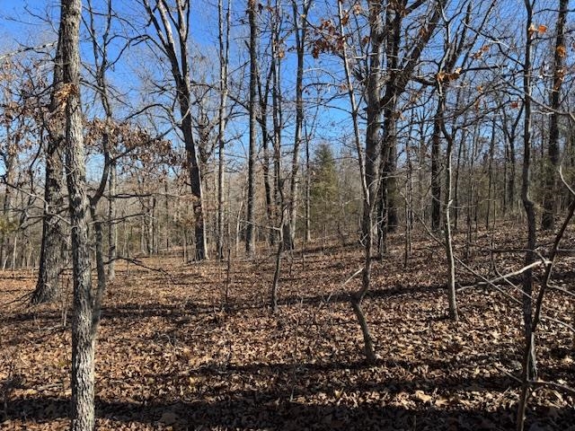 Photo 41 - Residential for sale – 8570  Hwy 9 N   Mammoth Spring, AR