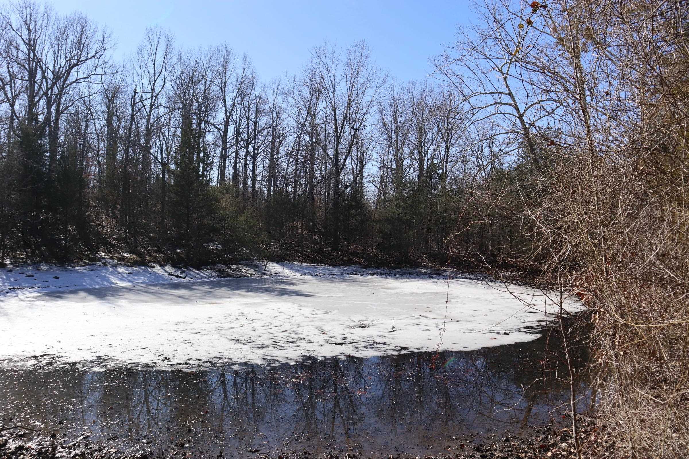 Photo 50 - Residential for sale – 8570  Hwy 9 N   Mammoth Spring, AR