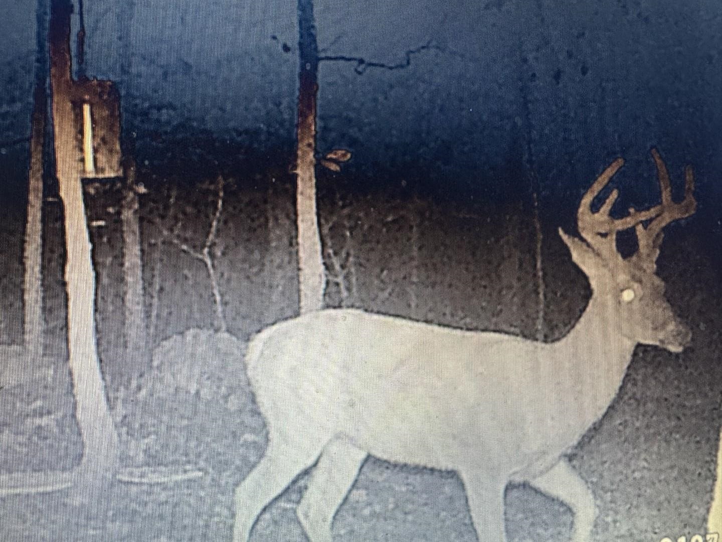 Photo 2 - Vacant Land for sale – XX N Summit Ridge   Williford, AR