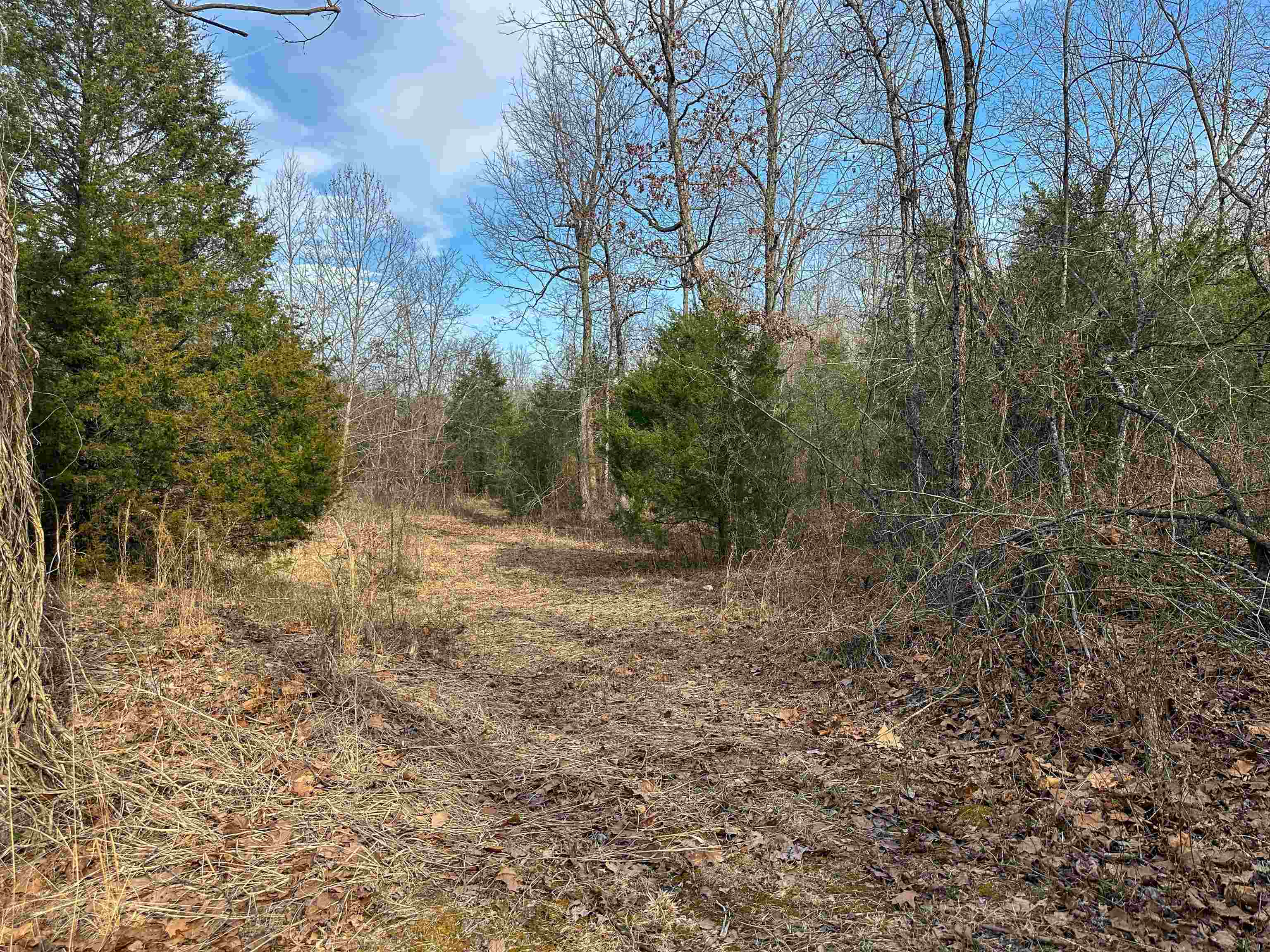 Photo 12 - Vacant Land for sale – XX N Summit Ridge   Williford, AR