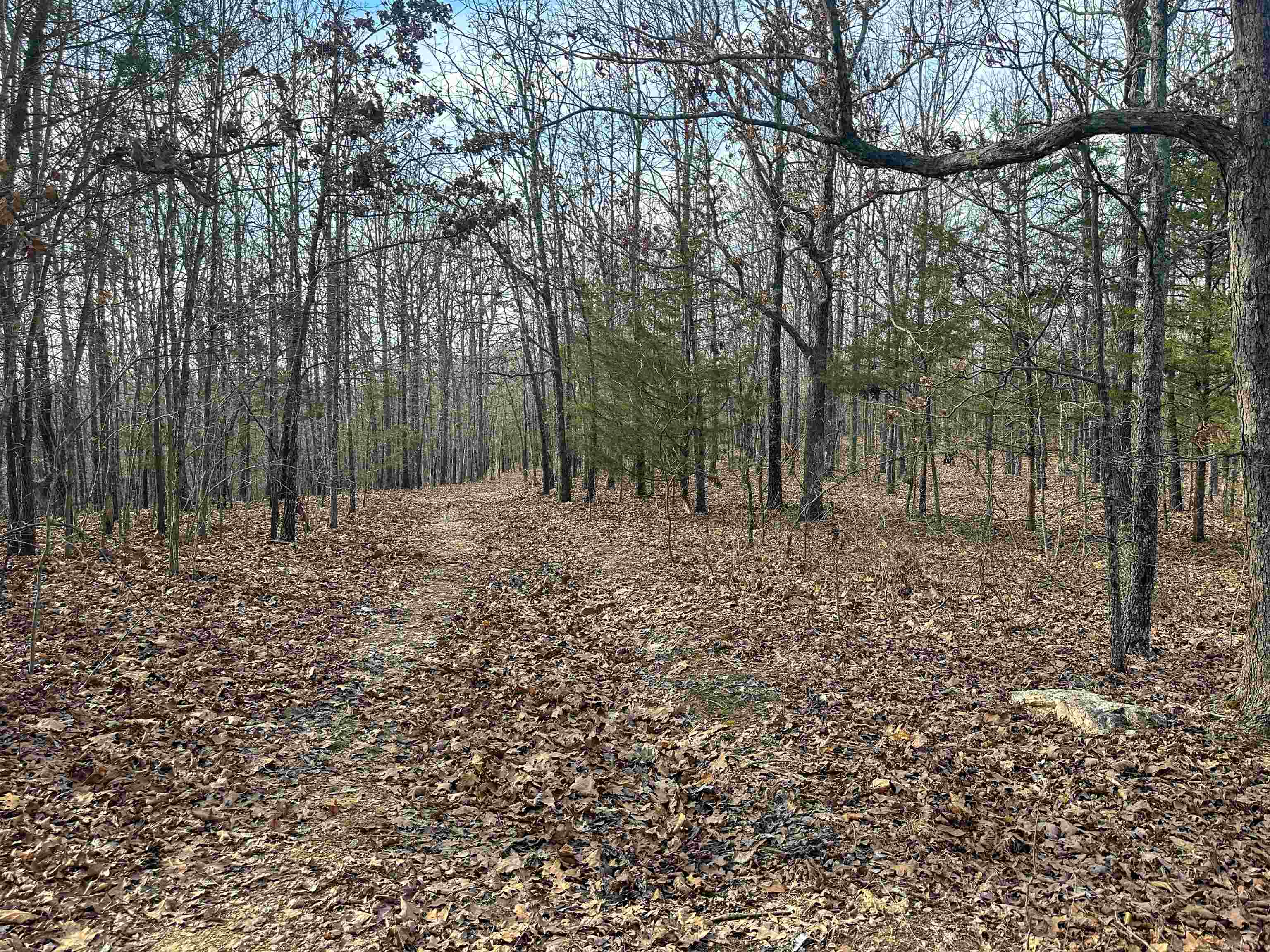Photo 14 - Vacant Land for sale – XX N Summit Ridge   Williford, AR