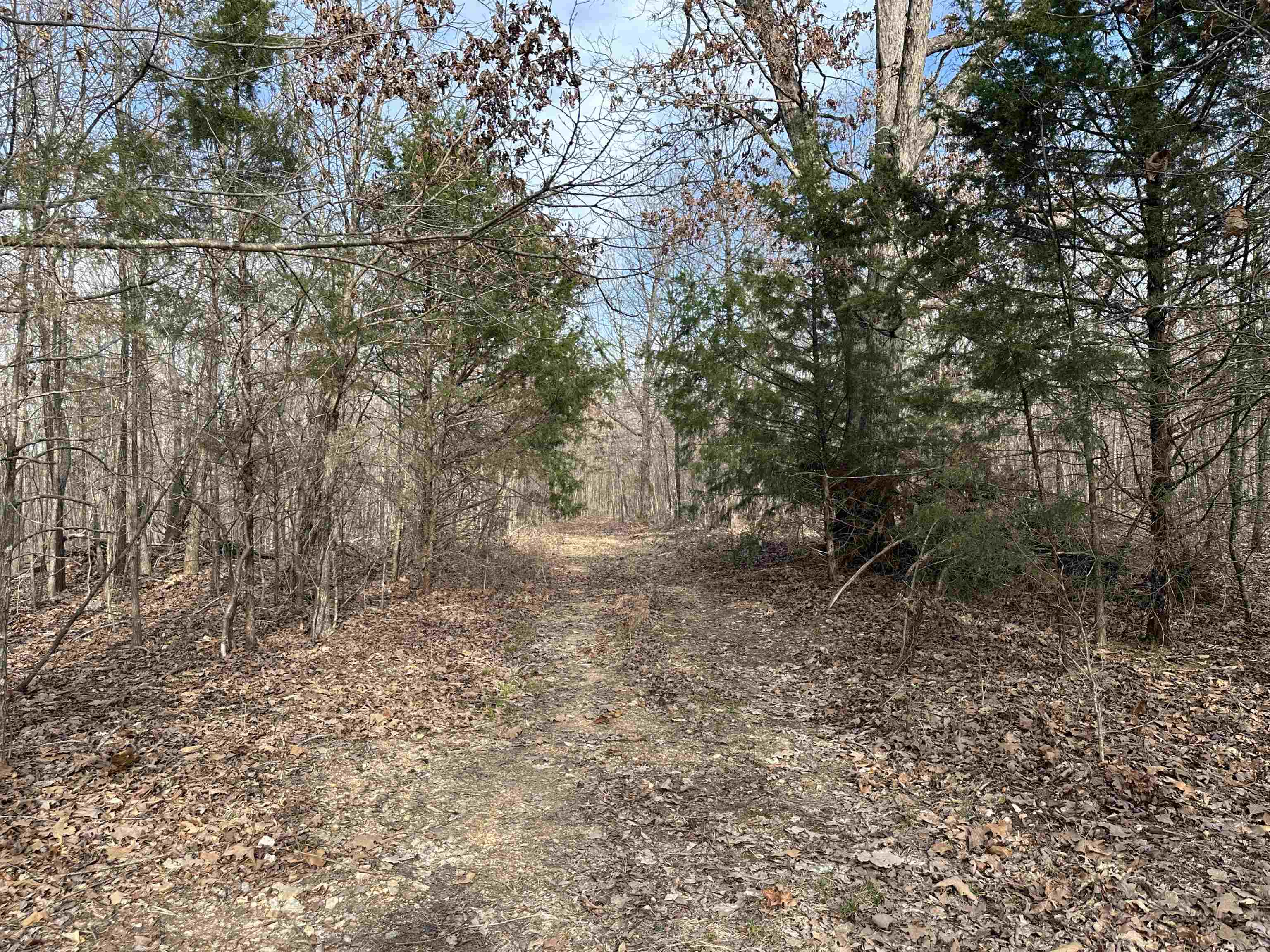 Photo 18 - Vacant Land for sale – XX N Summit Ridge   Williford, AR