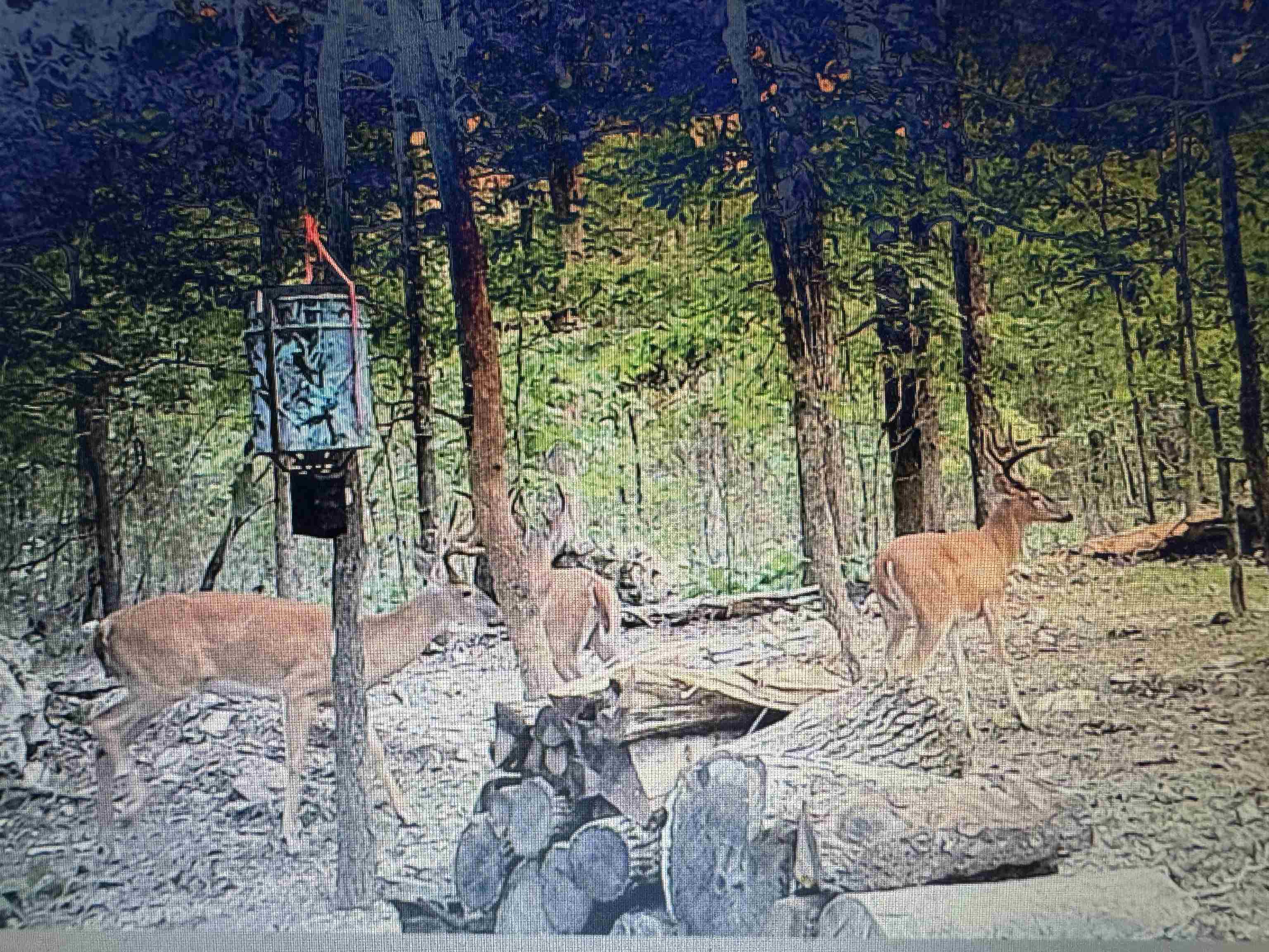 Photo 24 - Vacant Land for sale – XX N Summit Ridge   Williford, AR