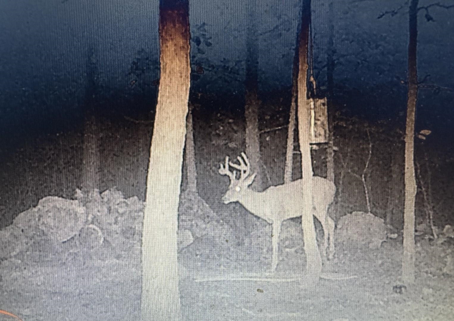 Photo 28 - Vacant Land for sale – XX N Summit Ridge   Williford, AR