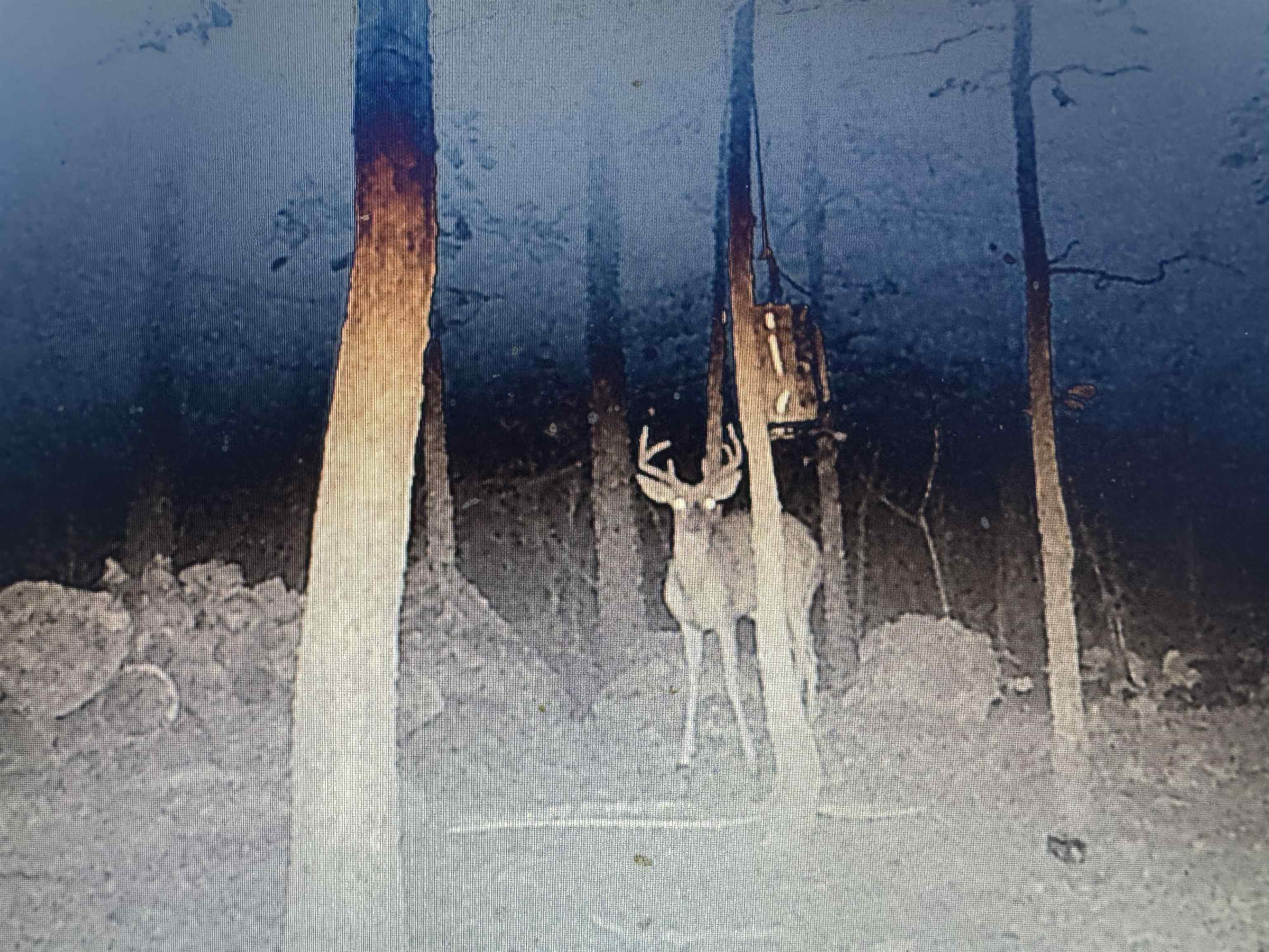 Photo 30 - Vacant Land for sale – XX N Summit Ridge   Williford, AR