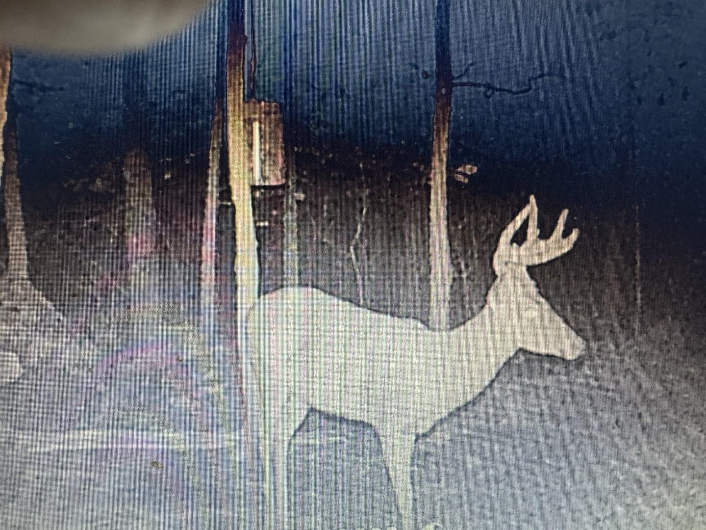 Photo 32 - Vacant Land for sale – XX N Summit Ridge   Williford, AR