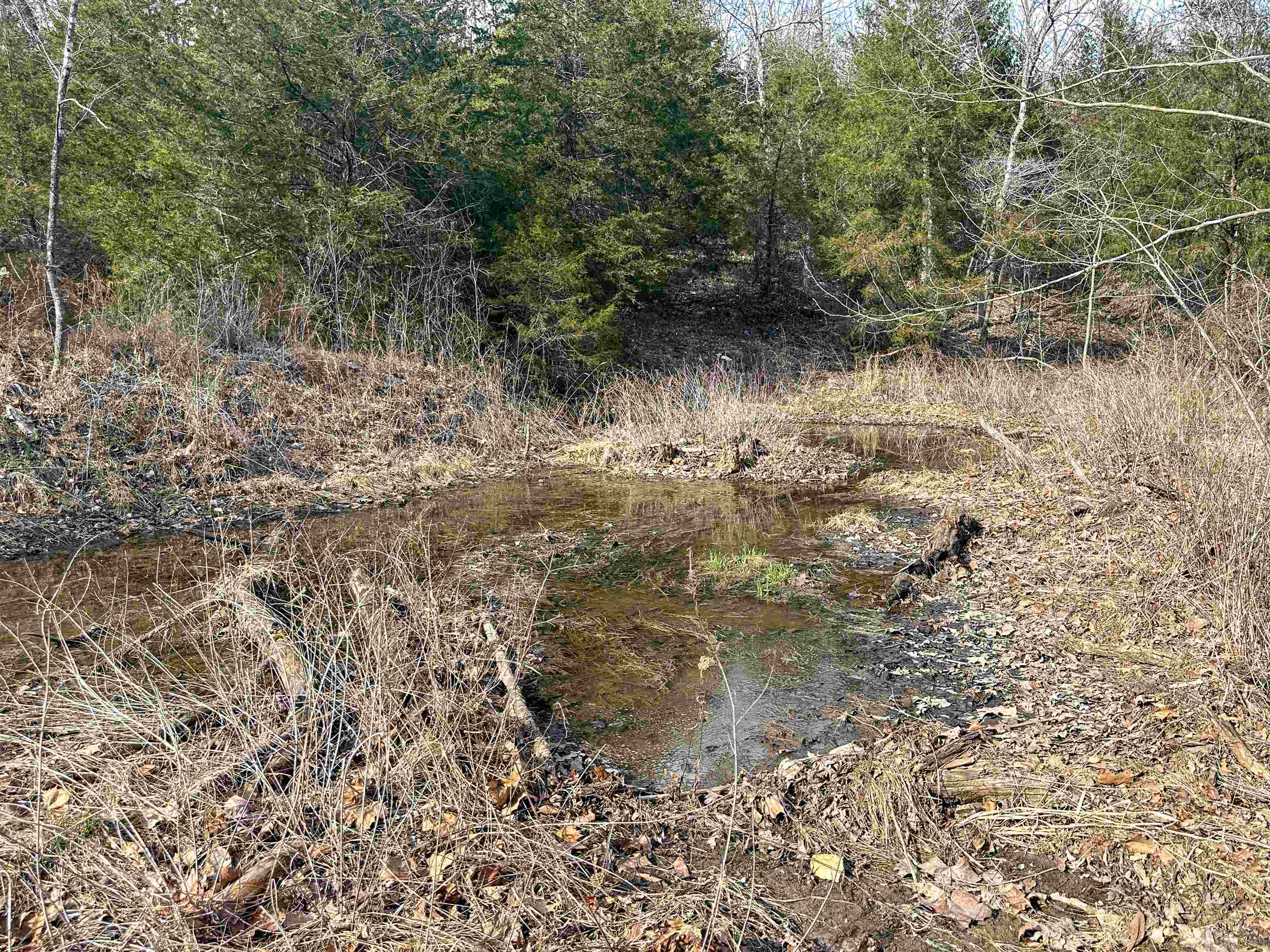 Photo 6 - Vacant Land for sale – XX N Summit Ridge   Williford, AR