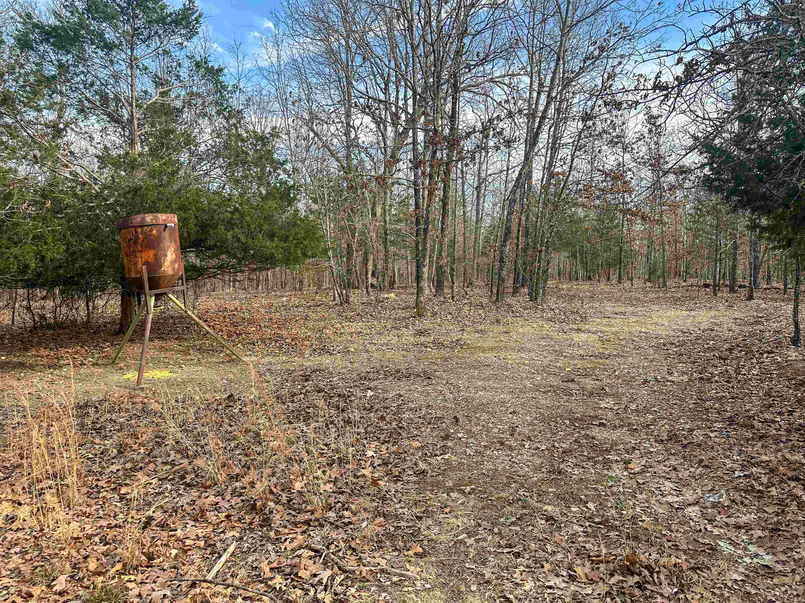 Photo 7 - Vacant Land for sale – XX N Summit Ridge   Williford, AR