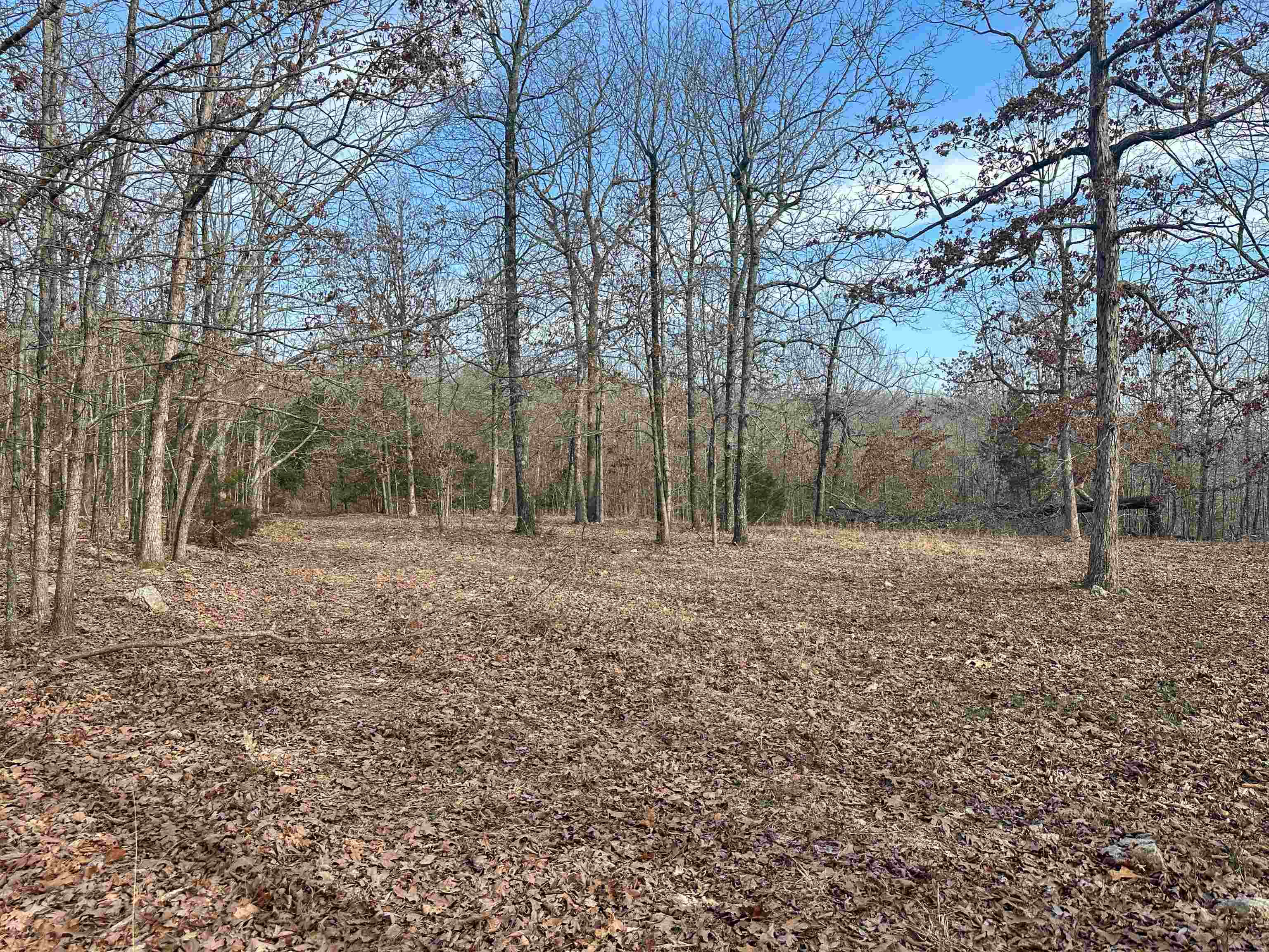 Photo 10 - Vacant Land for sale – XX N Summit Ridge   Williford, AR