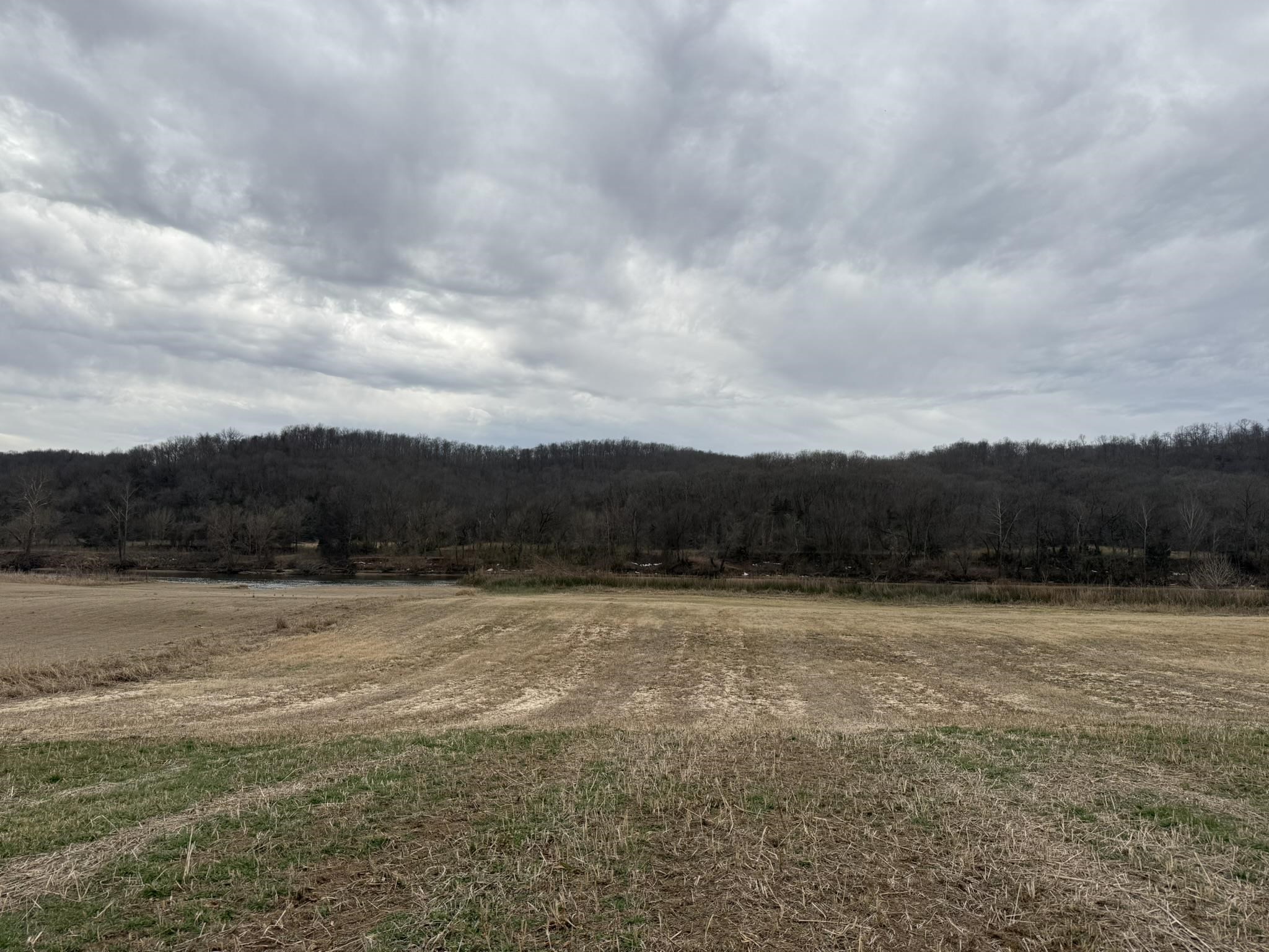 Photo 4 - Vacant Land for sale – 44  White River   Guion, AR