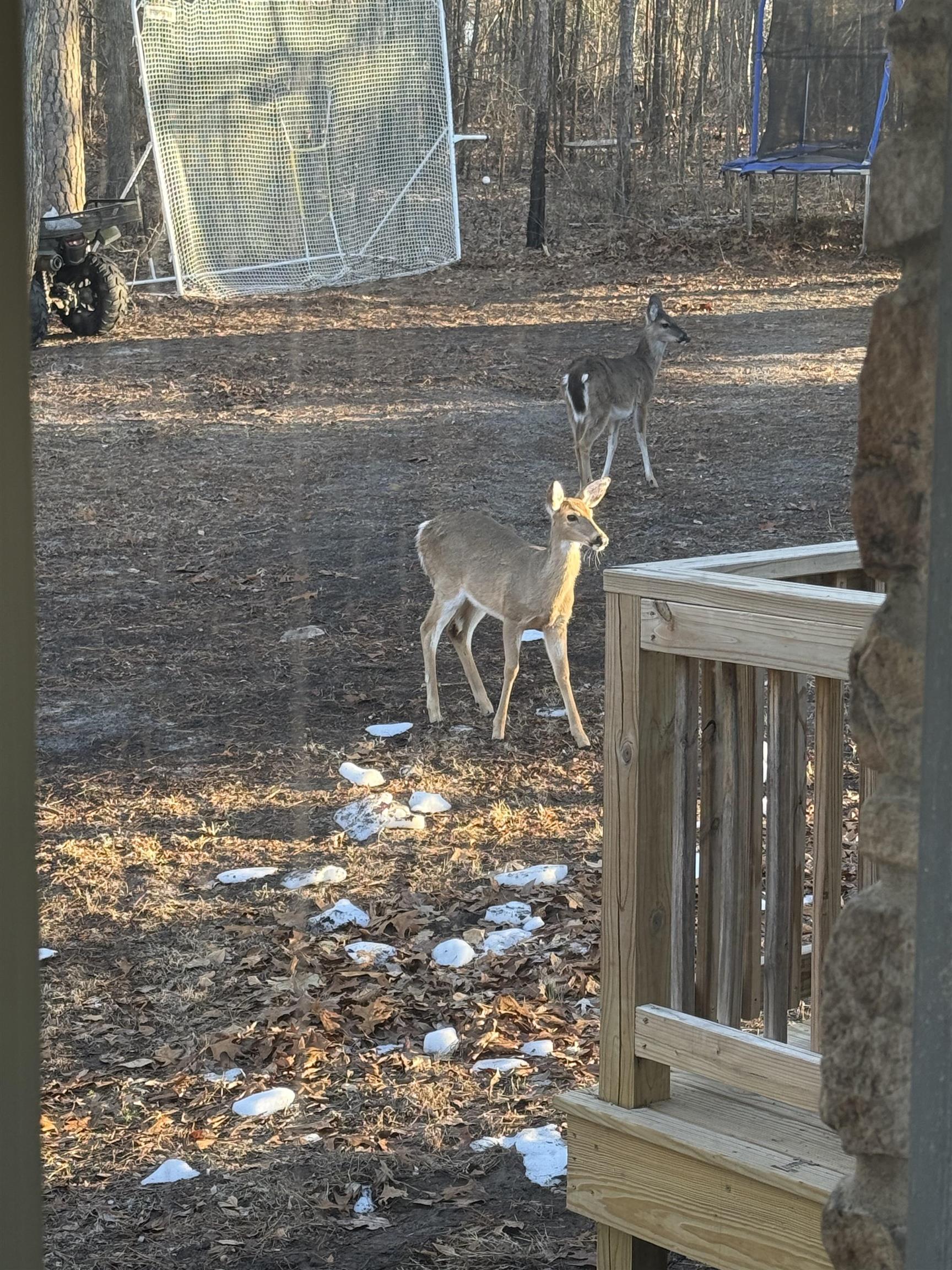 Photo 6 - Residential for sale – 1362  Knob Creek Road   Melbourne, AR