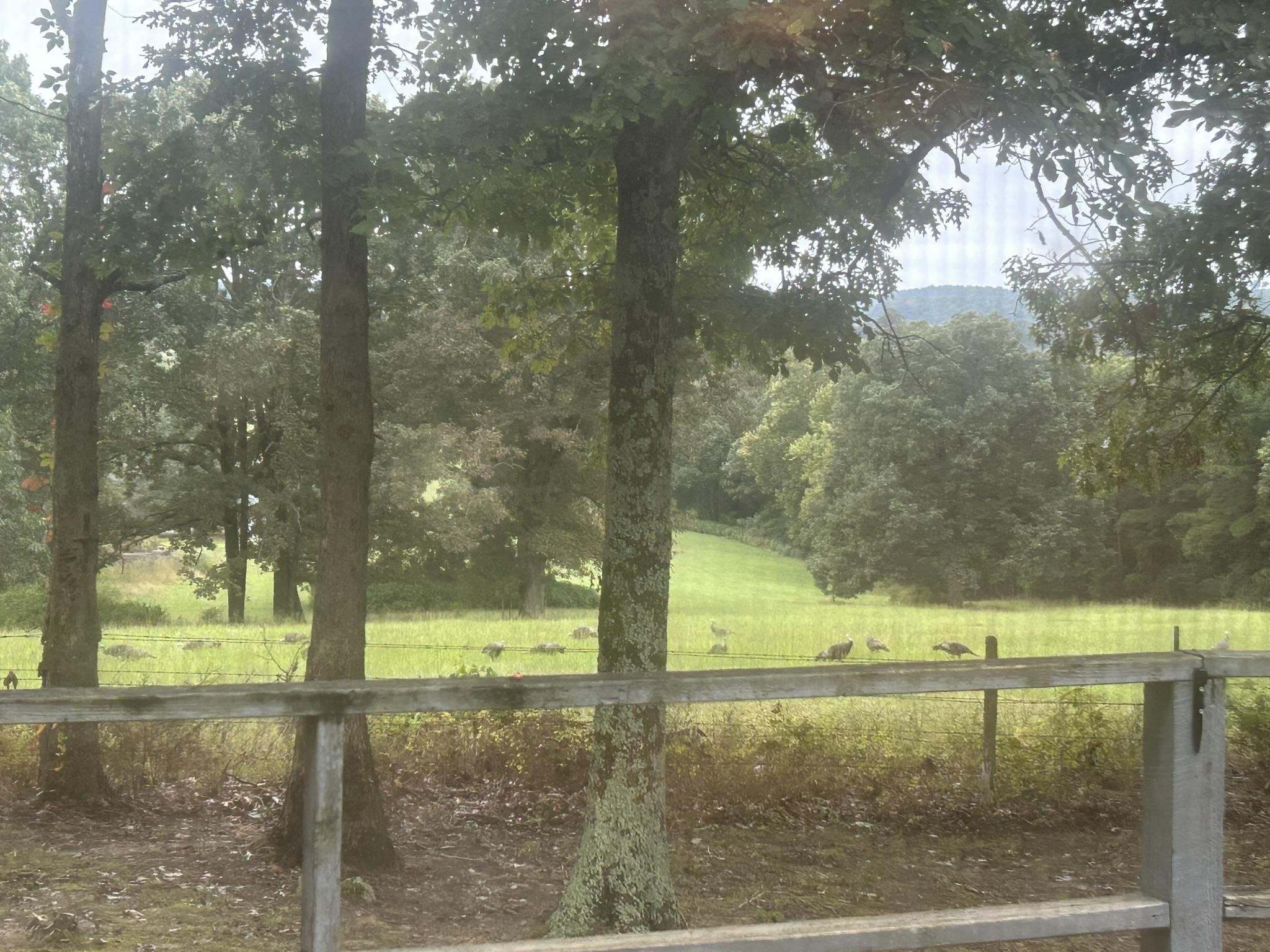 Photo 7 - Residential for sale – 1362  Knob Creek Road   Melbourne, AR