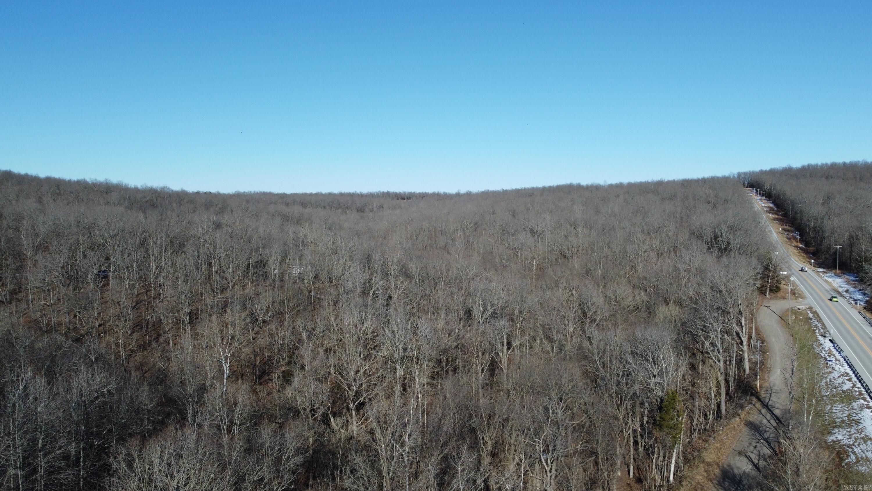 Photo 2 - Vacant Land for sale – 00  Hwy 289   Horseshoe Bend, AR