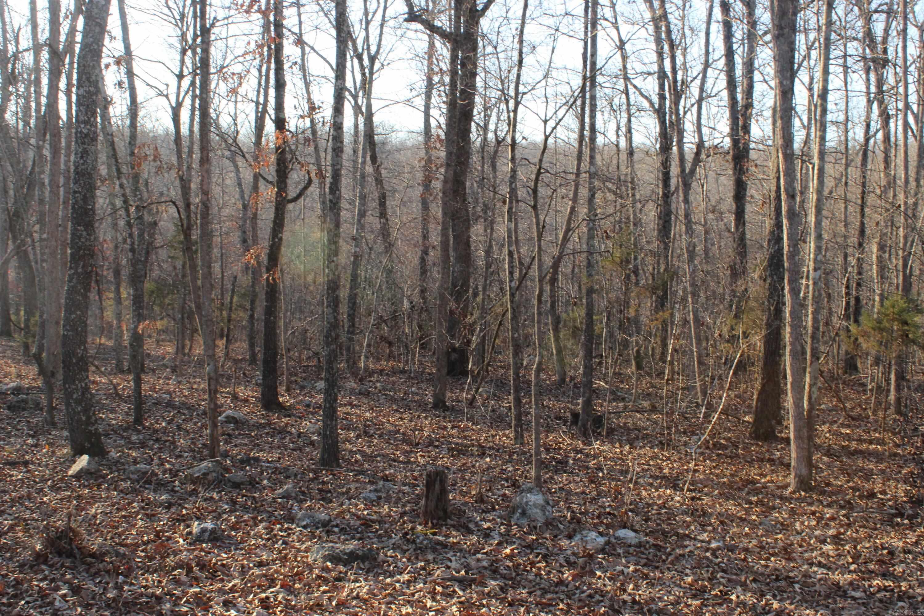 Photo 3 - Vacant Land for sale – 00  Hwy 289   Horseshoe Bend, AR