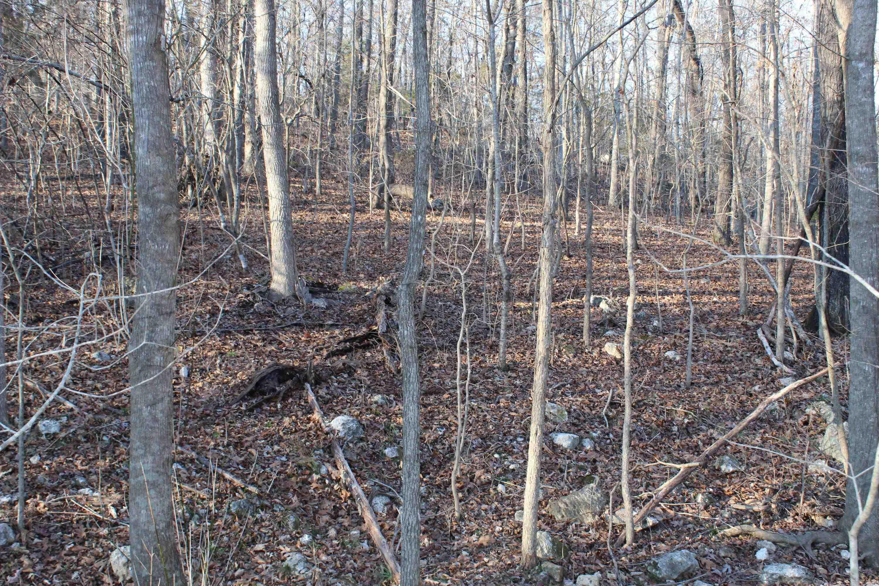 Photo 5 - Vacant Land for sale – 00  Hwy 289   Horseshoe Bend, AR