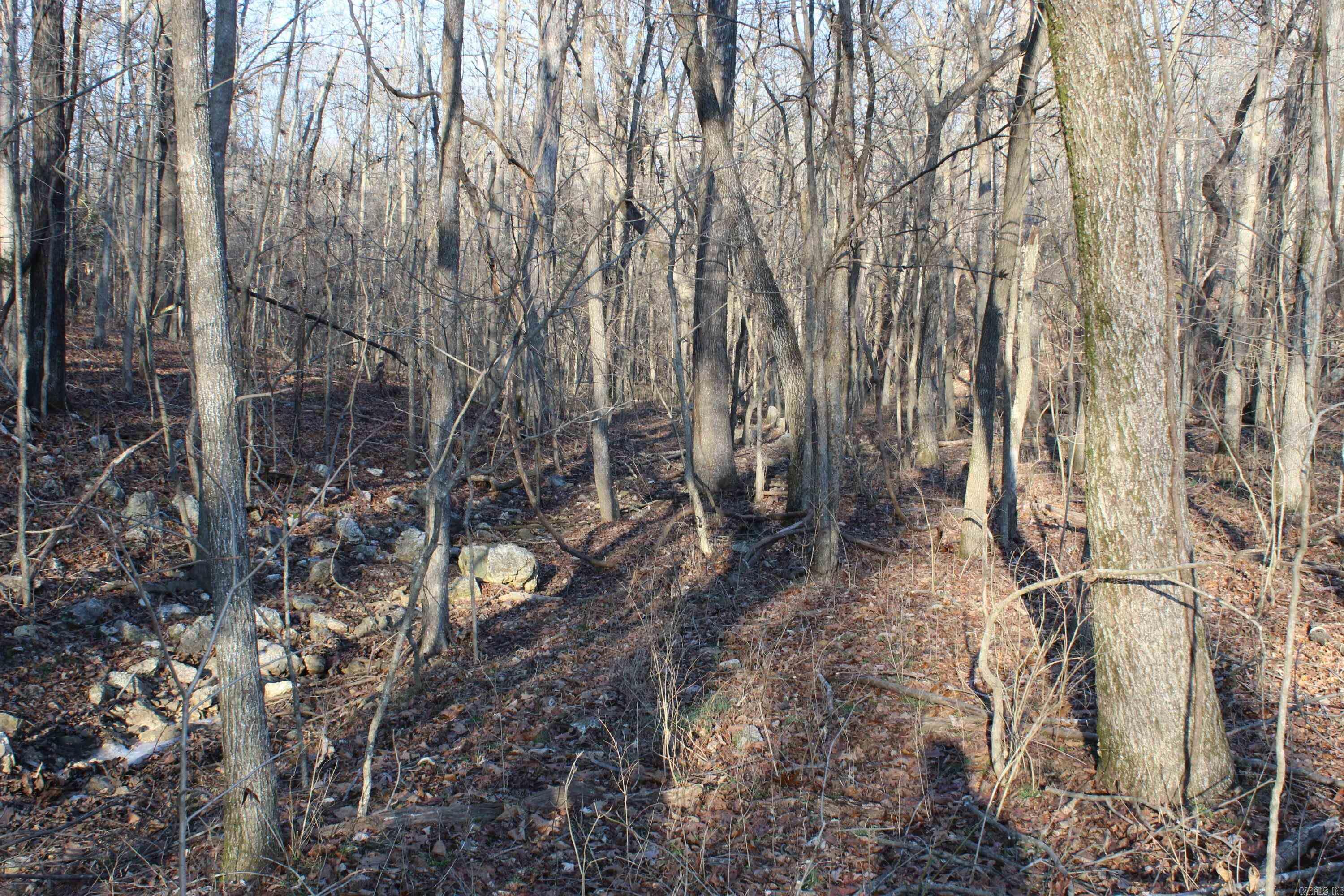 Photo 6 - Vacant Land for sale – 00  Hwy 289   Horseshoe Bend, AR