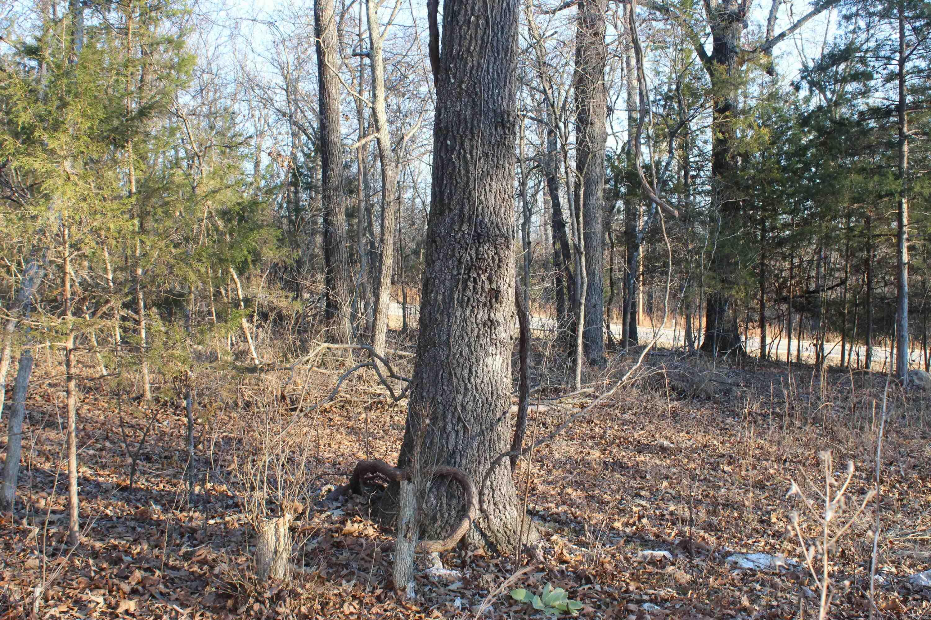 Photo 7 - Vacant Land for sale – 00  Hwy 289   Horseshoe Bend, AR