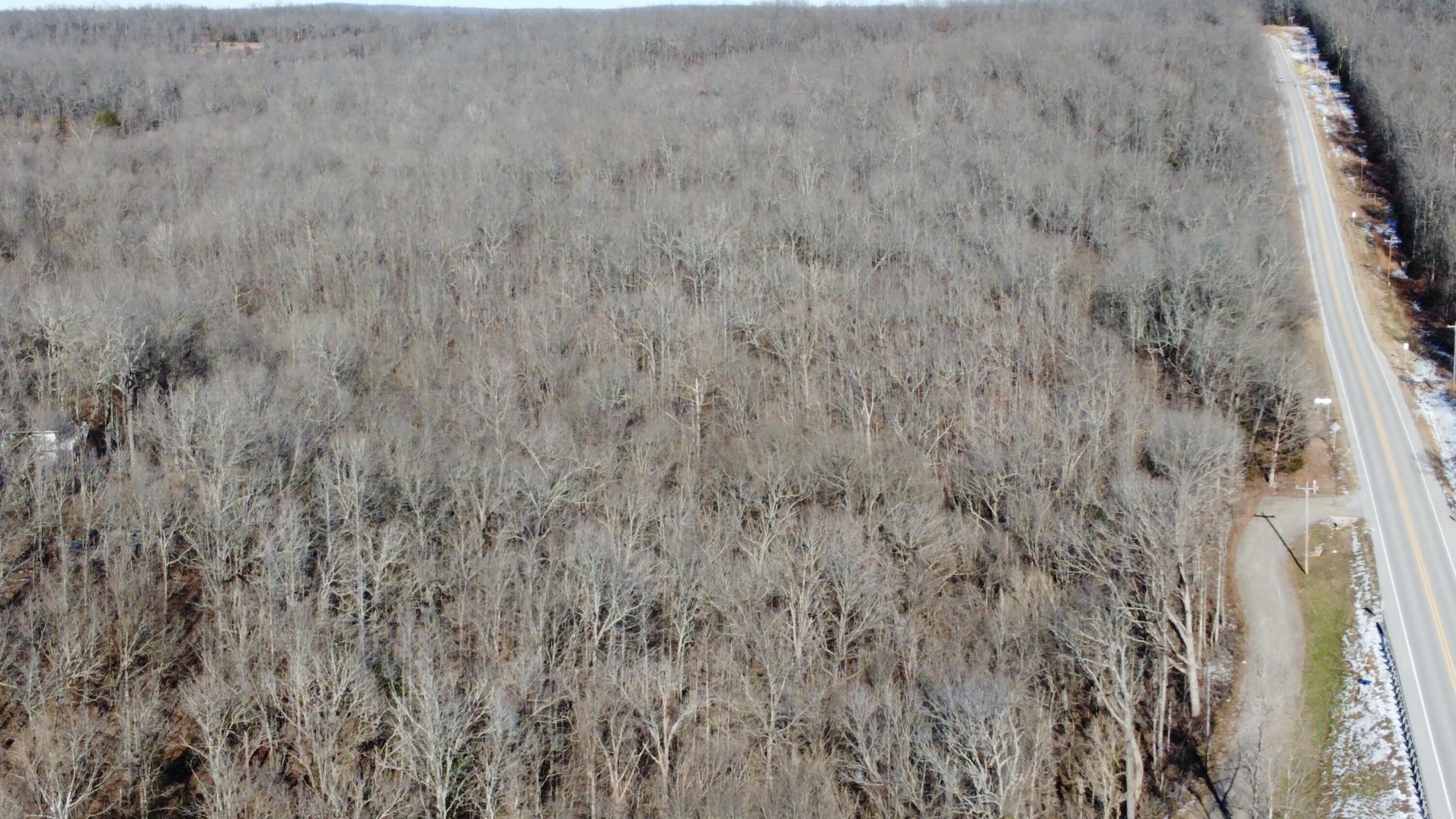 Photo 8 - Vacant Land for sale – 00  Hwy 289   Horseshoe Bend, AR