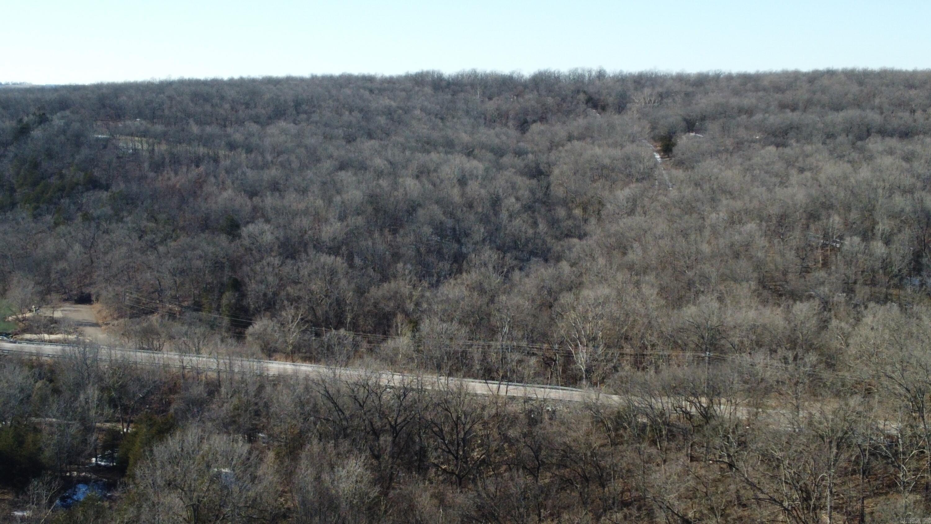 Photo 9 - Vacant Land for sale – 00  Hwy 289   Horseshoe Bend, AR