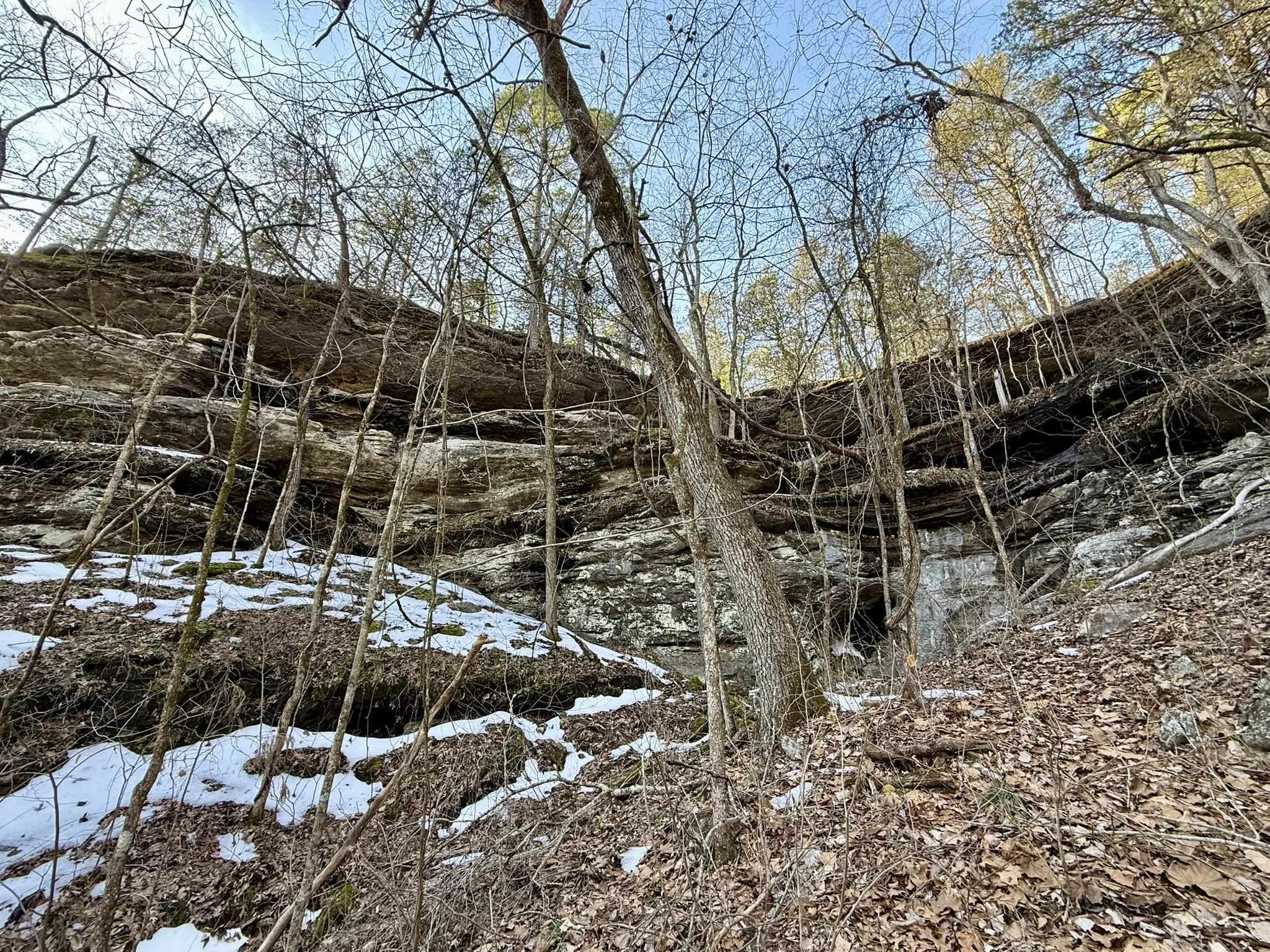 Photo 11 - Vacant Land for sale – 88  Rowden Street   Calico Rock, AR