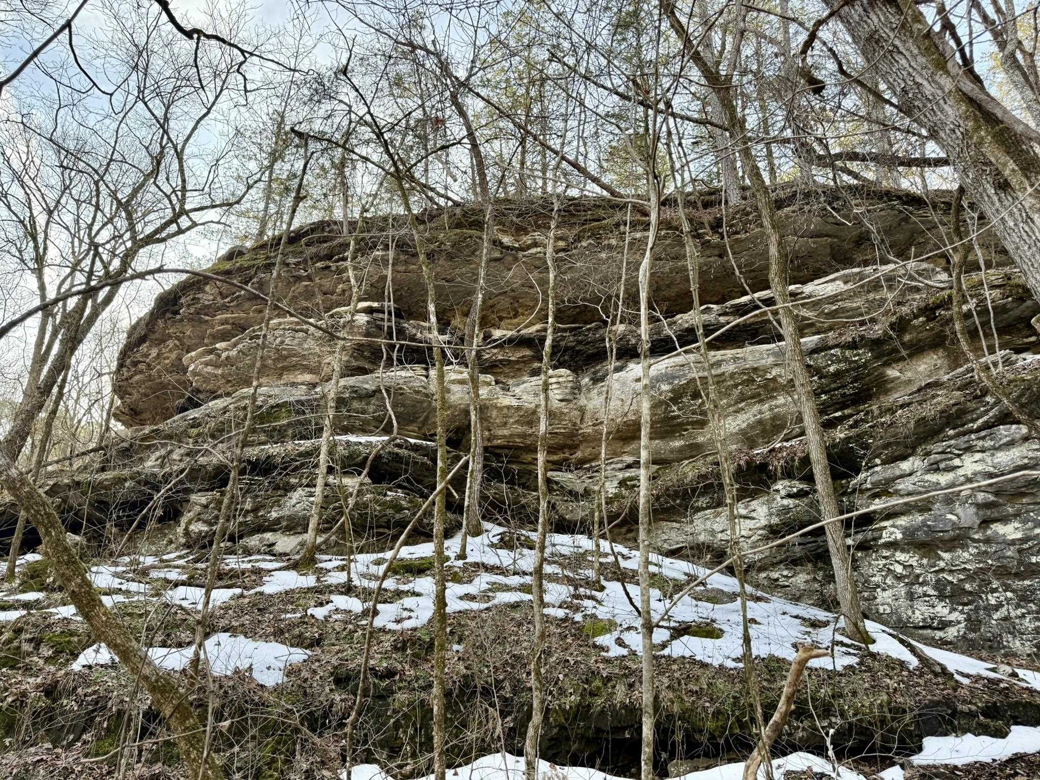 Photo 13 - Vacant Land for sale – 88  Rowden Street   Calico Rock, AR