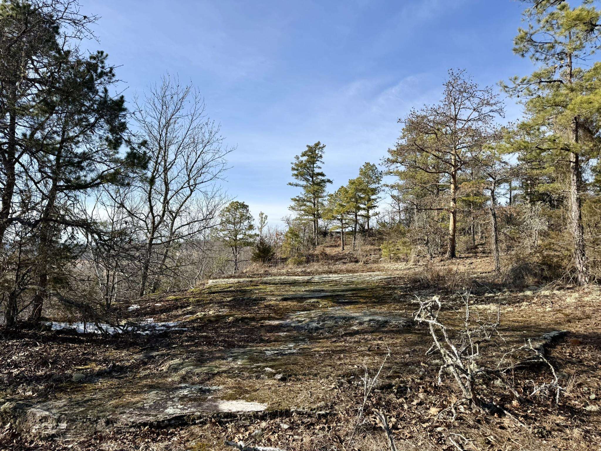 Photo 14 - Vacant Land for sale – 88  Rowden Street   Calico Rock, AR