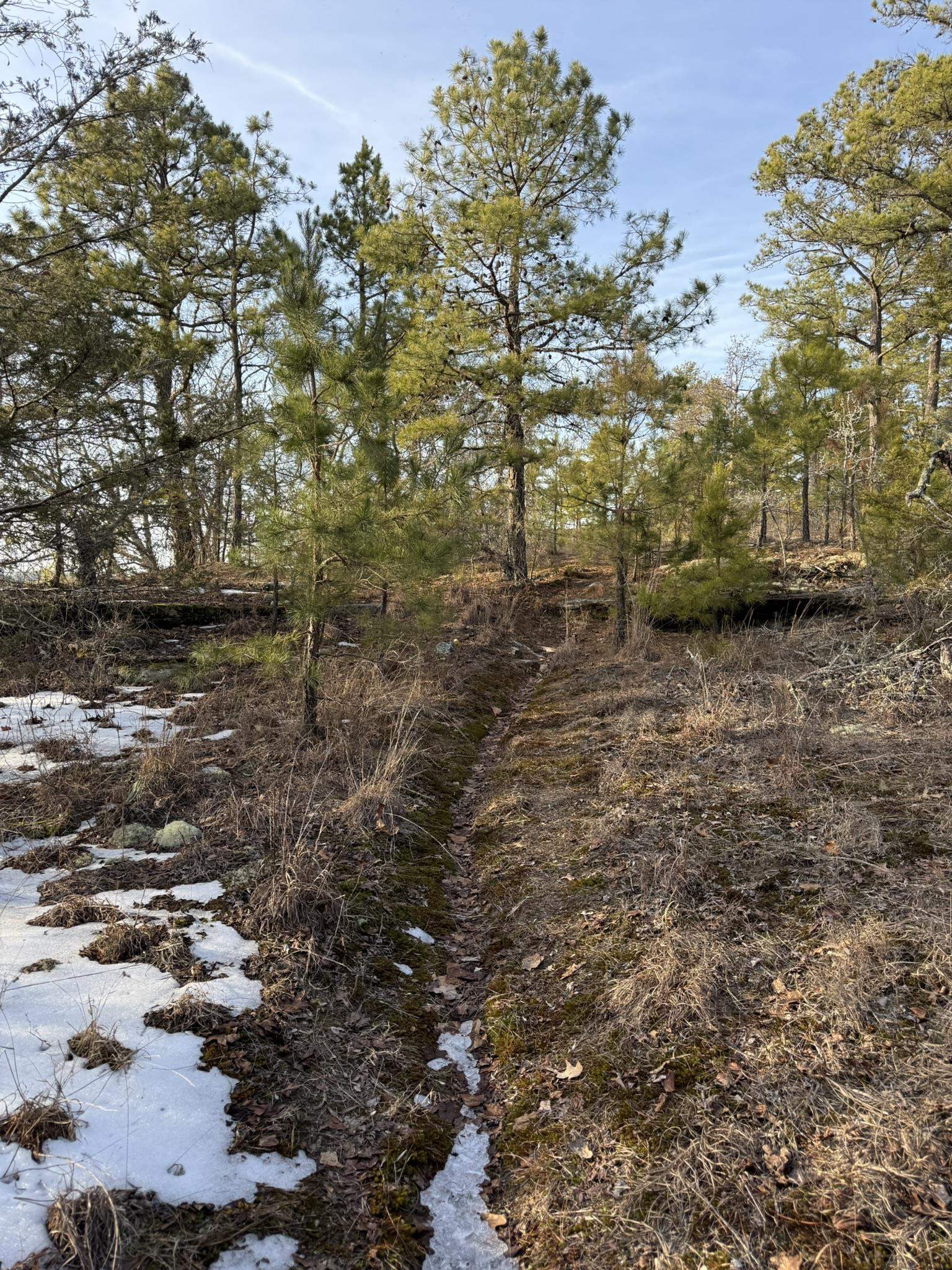 Photo 17 - Vacant Land for sale – 88  Rowden Street   Calico Rock, AR