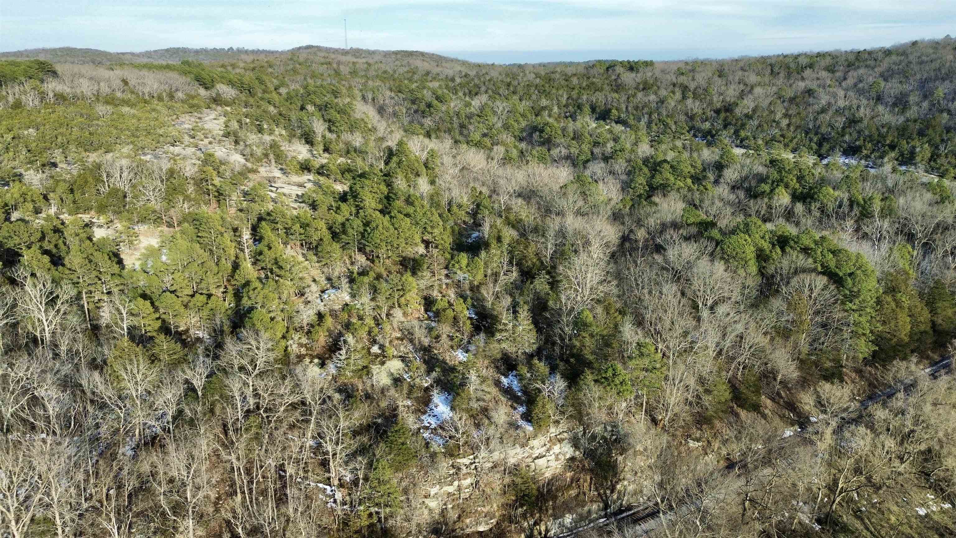 Photo 19 - Vacant Land for sale – 88  Rowden Street   Calico Rock, AR