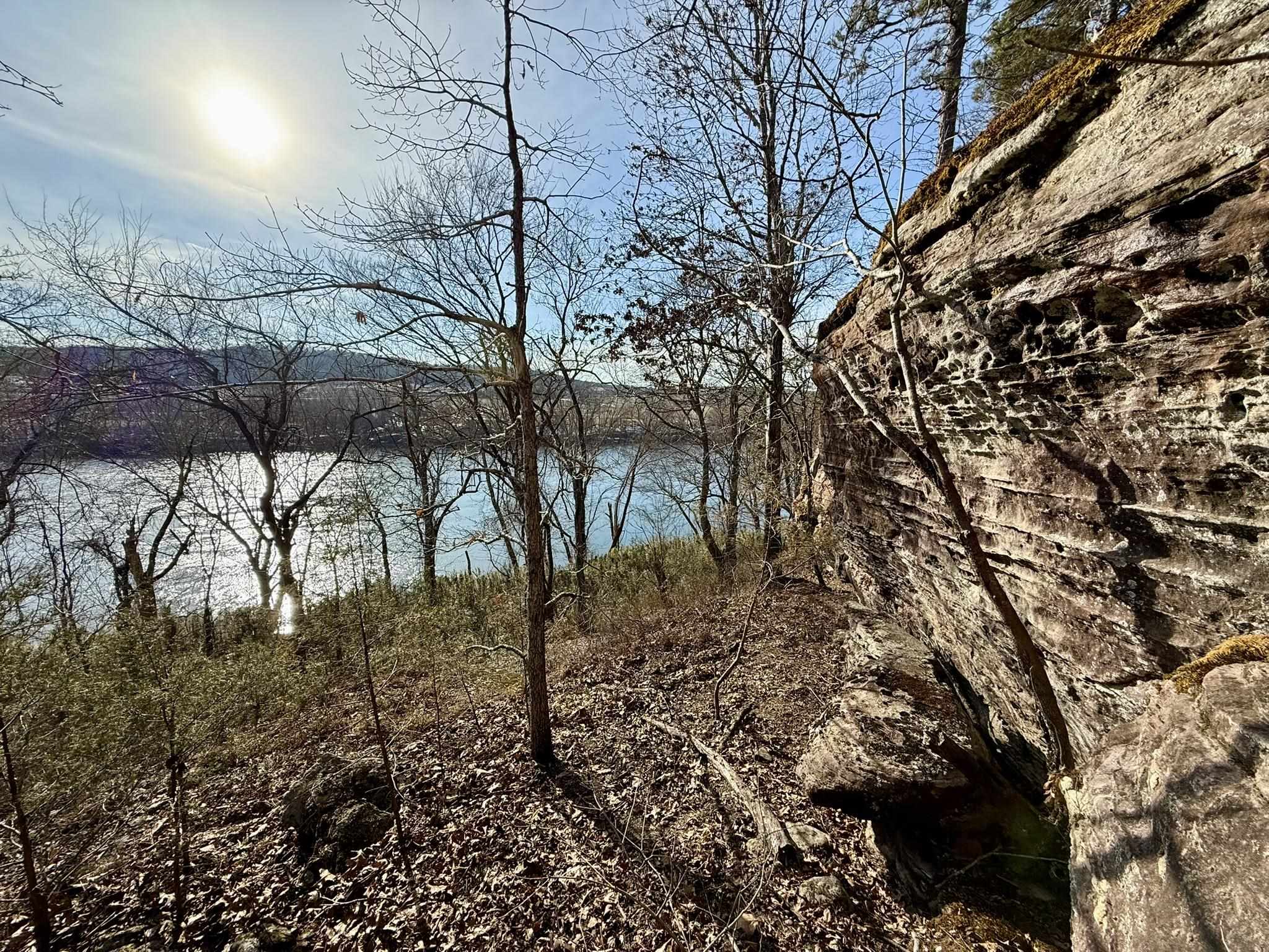 Photo 4 - Vacant Land for sale – 88  Rowden Street   Calico Rock, AR