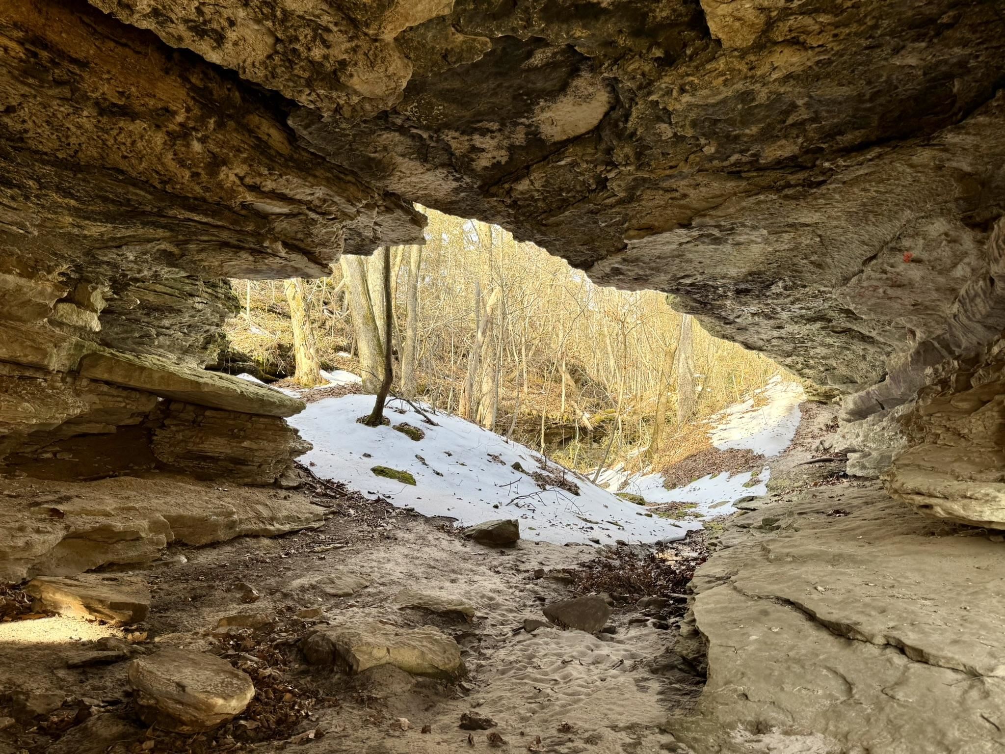 Photo 6 - Vacant Land for sale – 88  Rowden Street   Calico Rock, AR