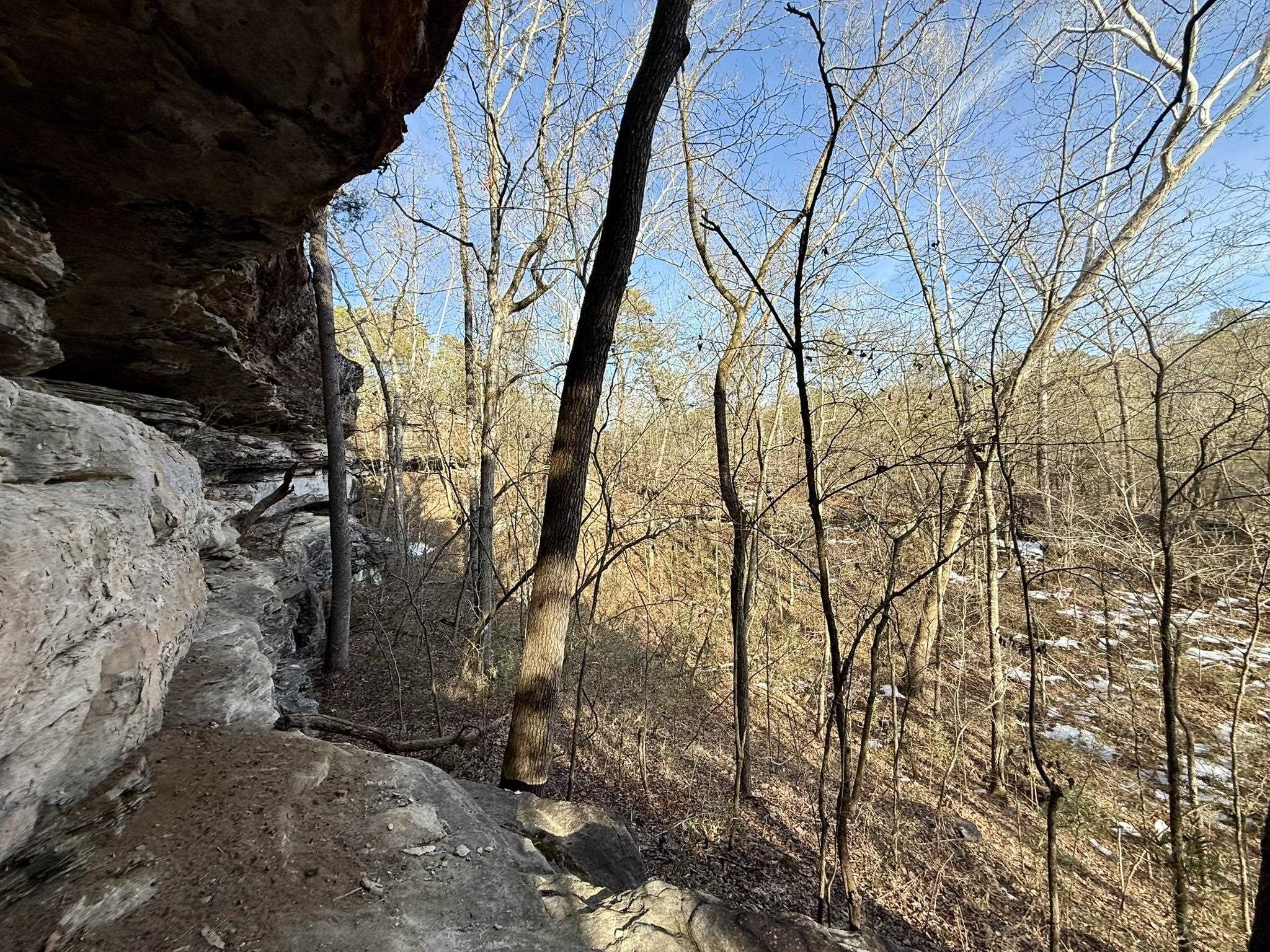 Photo 10 - Vacant Land for sale – 88  Rowden Street   Calico Rock, AR