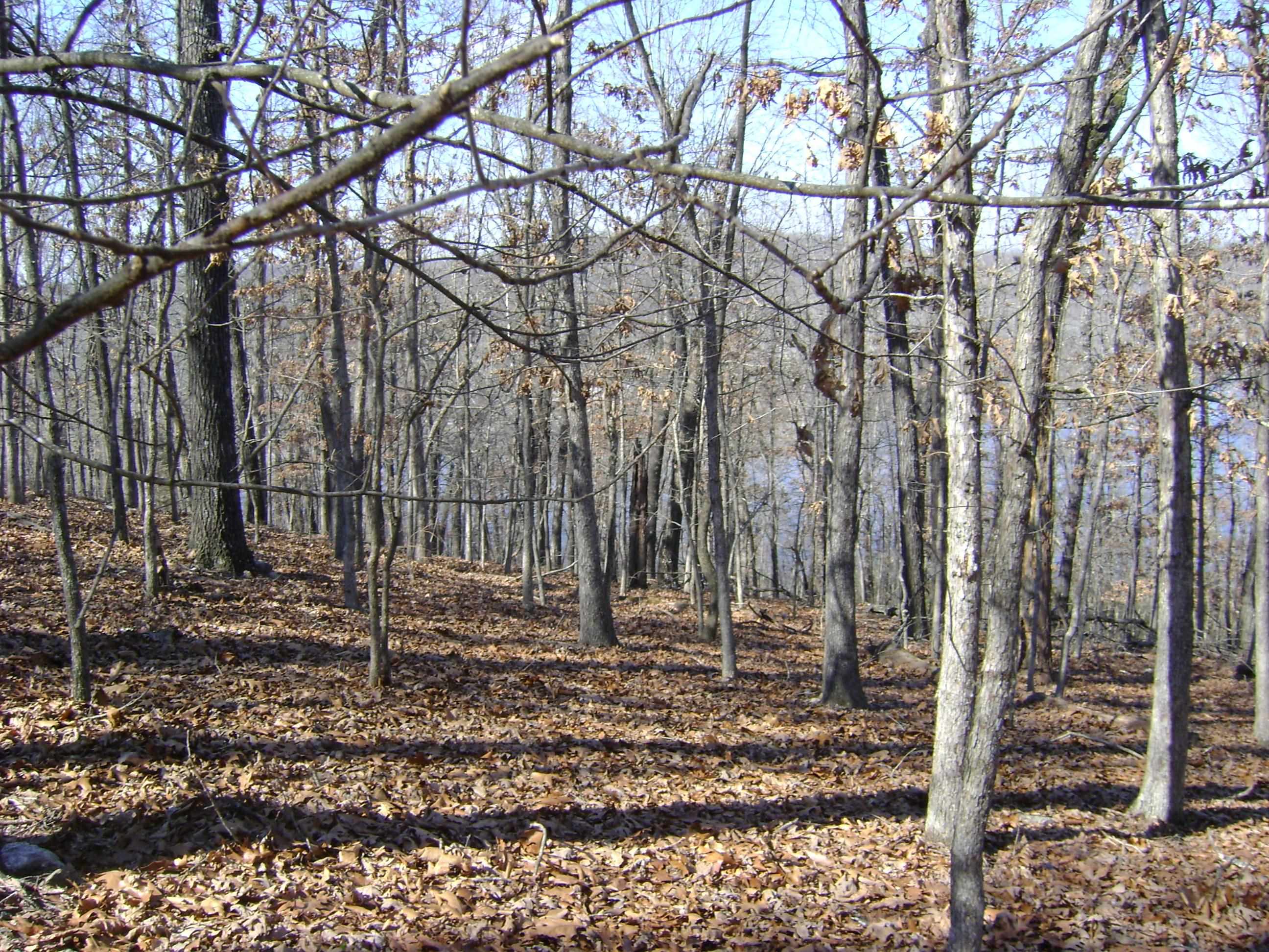 Photo 11 - Vacant Land for sale – 1301  View Park Circle   Horseshoe Bend, AR