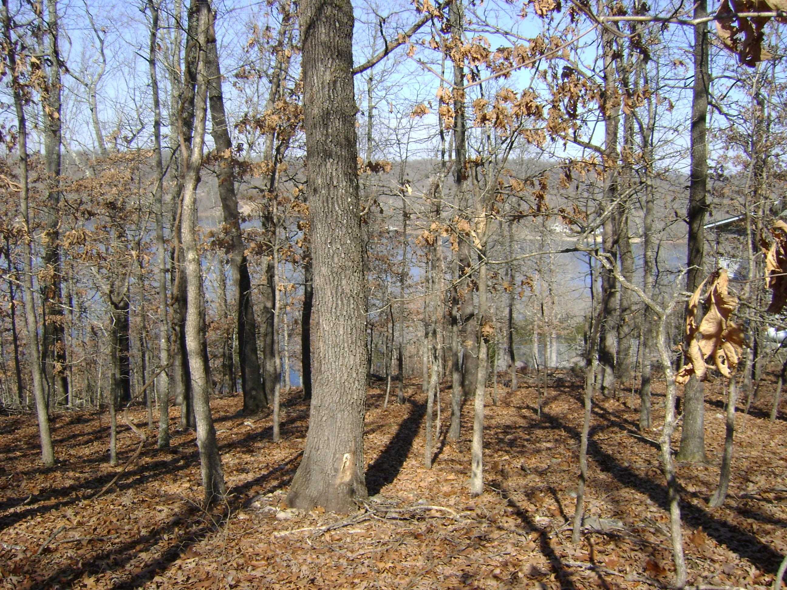 Photo 12 - Vacant Land for sale – 1301  View Park Circle   Horseshoe Bend, AR