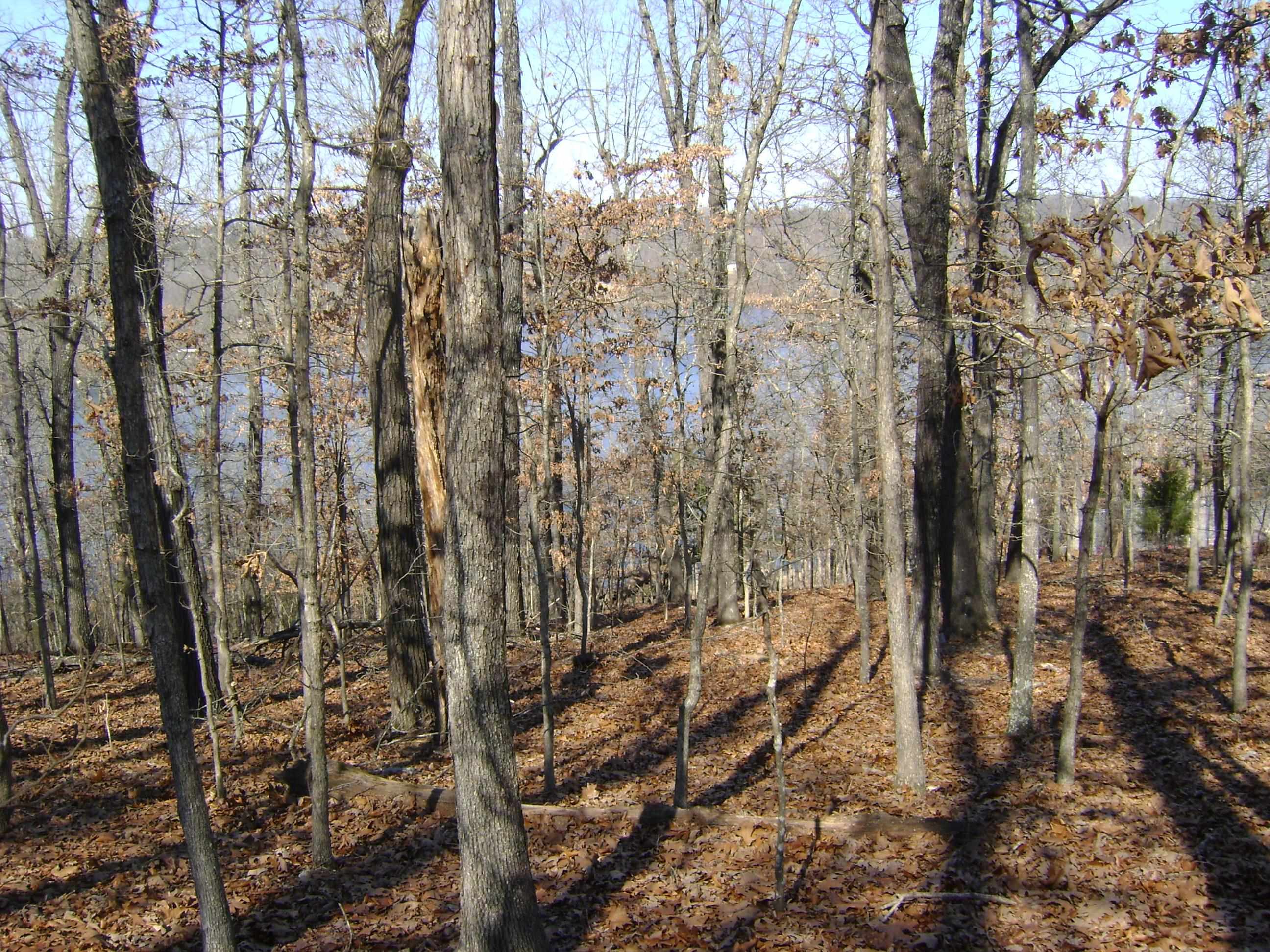 Photo 13 - Vacant Land for sale – 1301  View Park Circle   Horseshoe Bend, AR